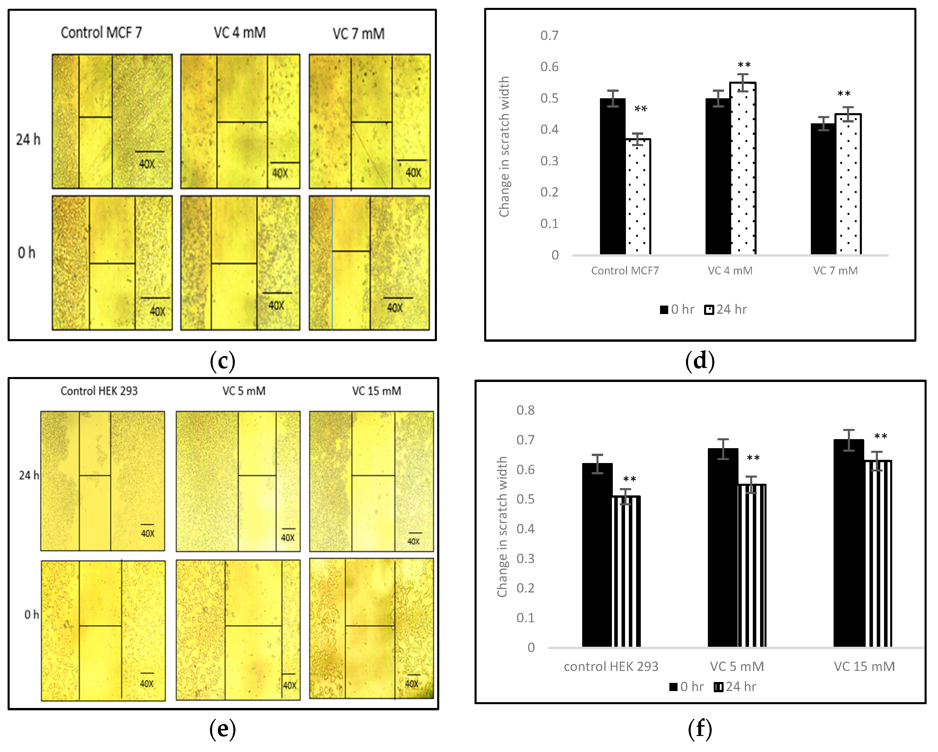 Biomedicines 13 00640 g003b