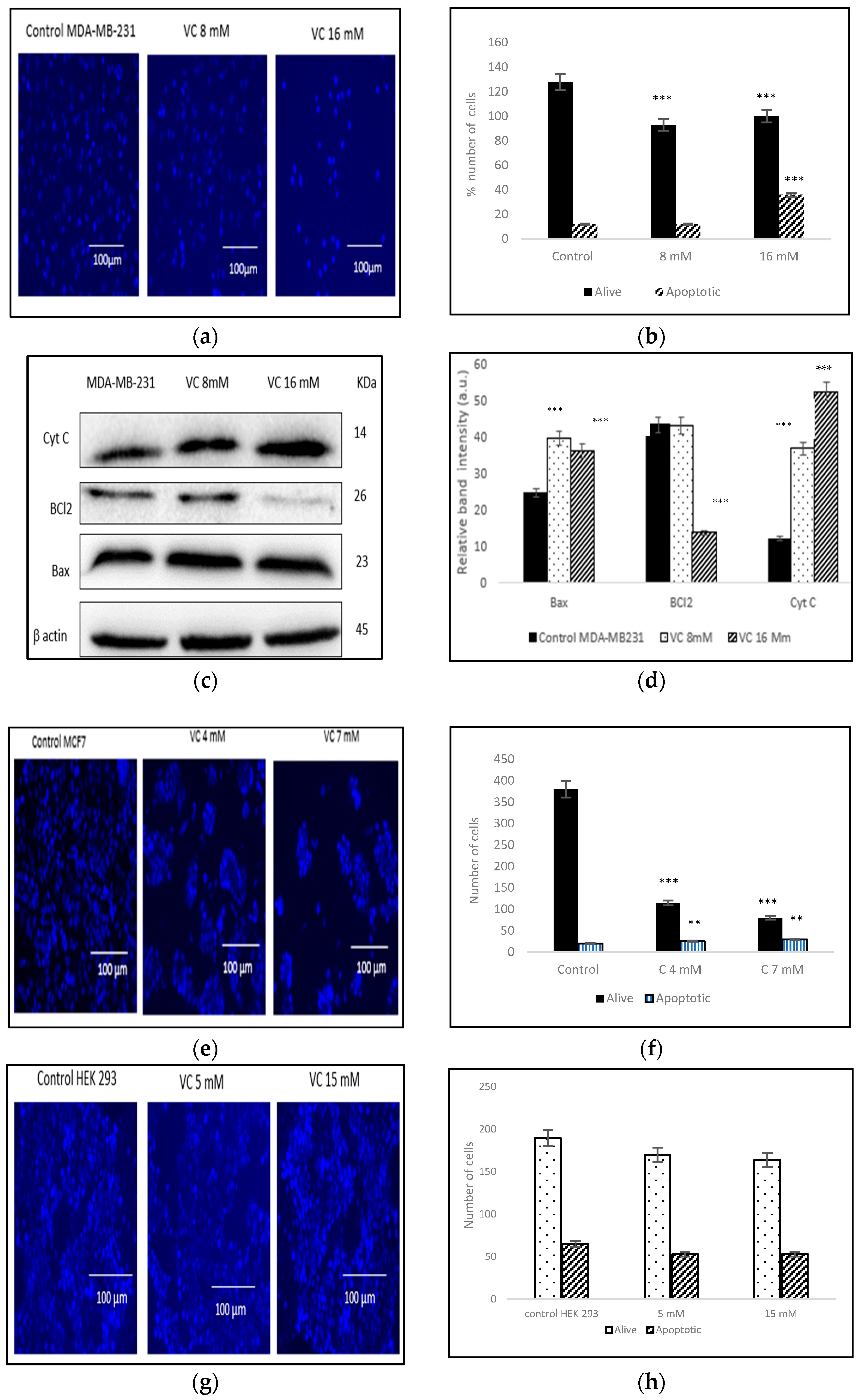 Biomedicines 13 00640 g004a