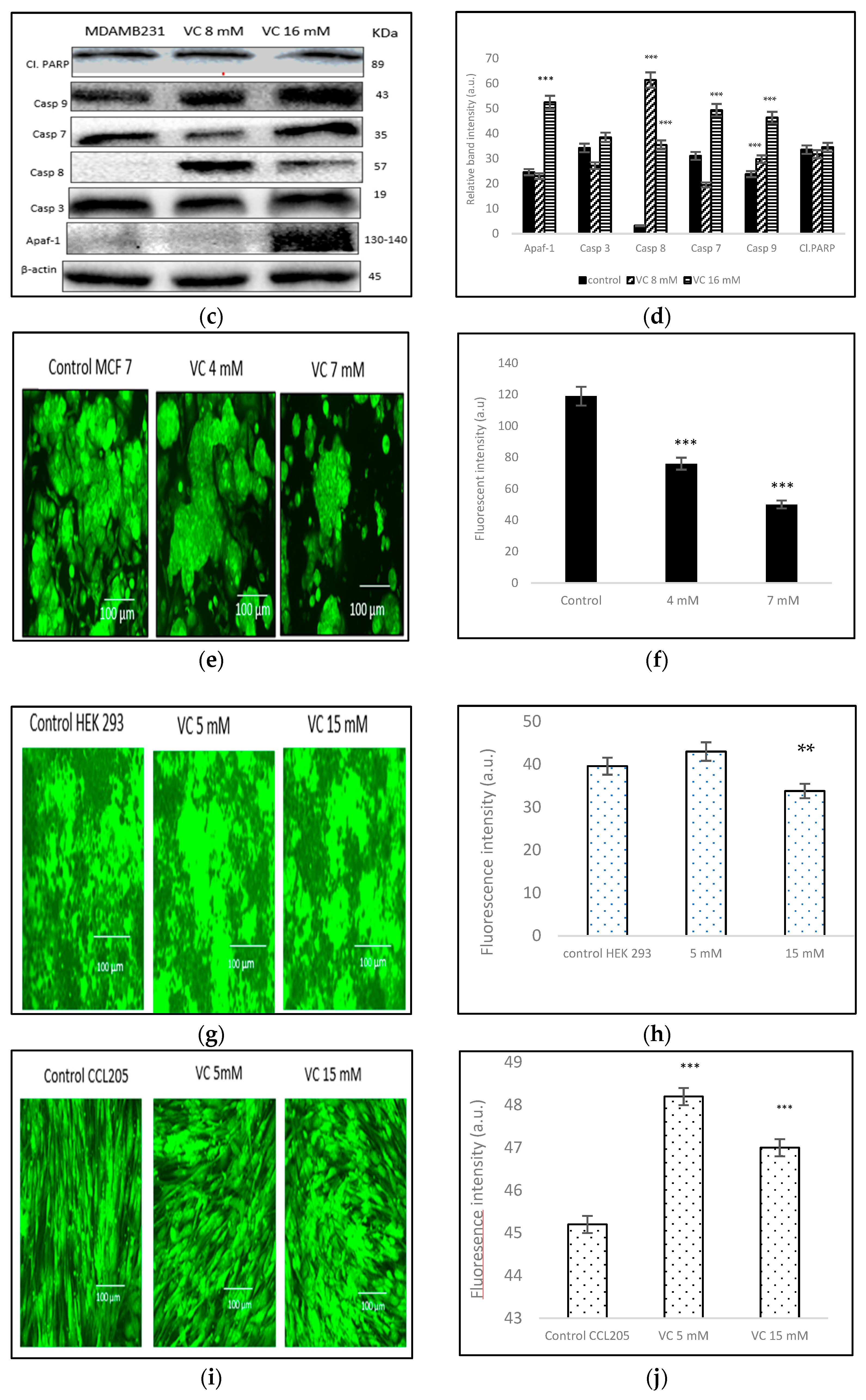 Biomedicines 13 00640 g005b