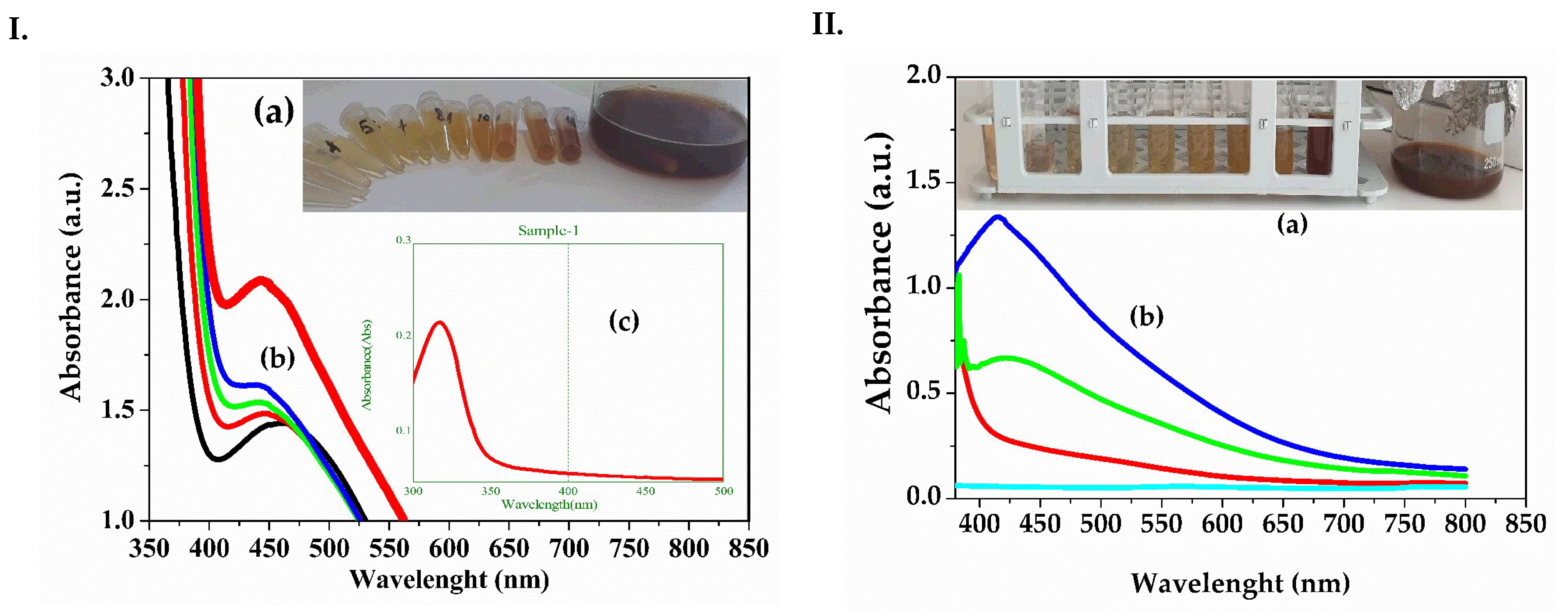 Biomedicines 13 00641 g001