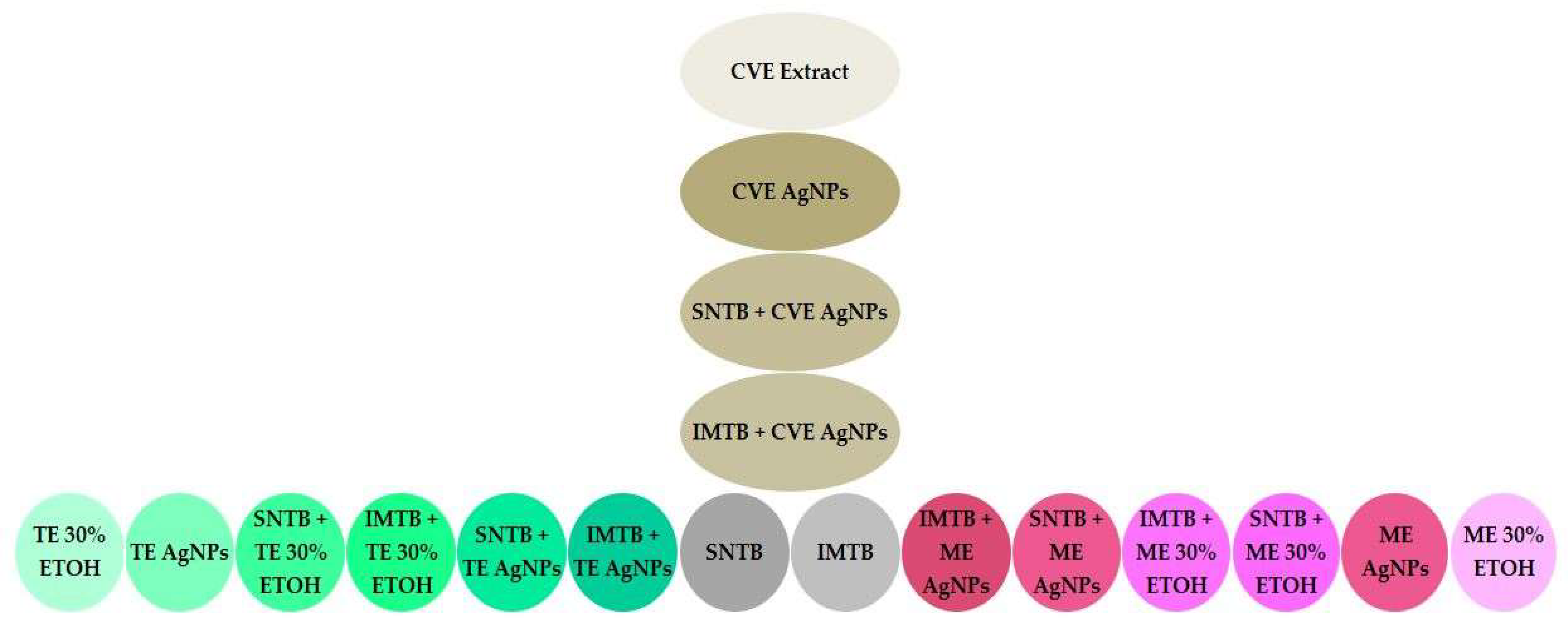 Biomedicines 13 00641 g006