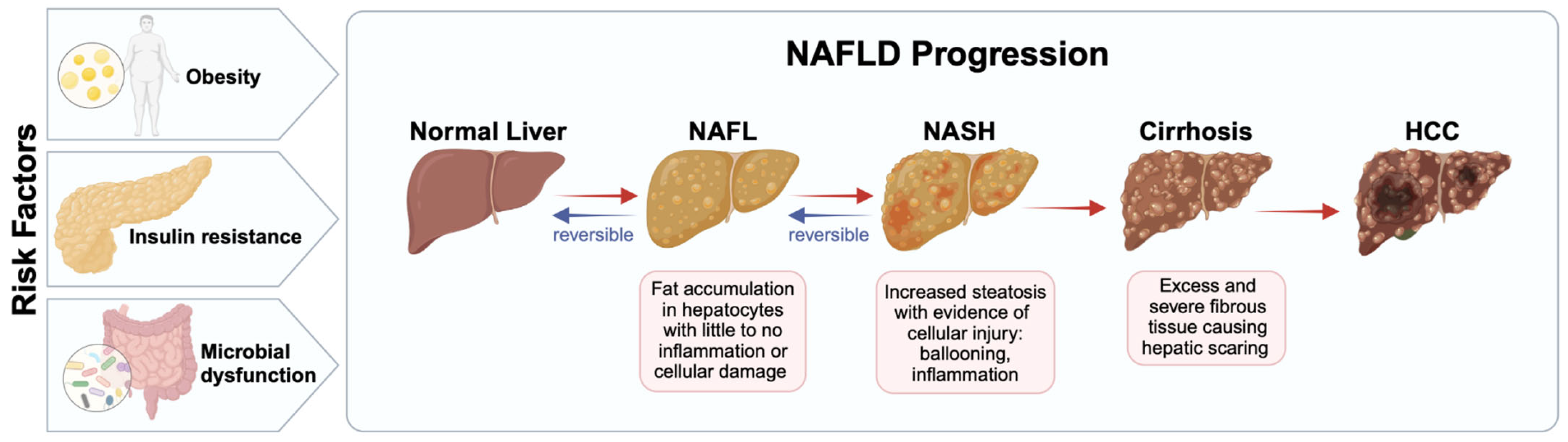 Biomedicines 13 00644 g001