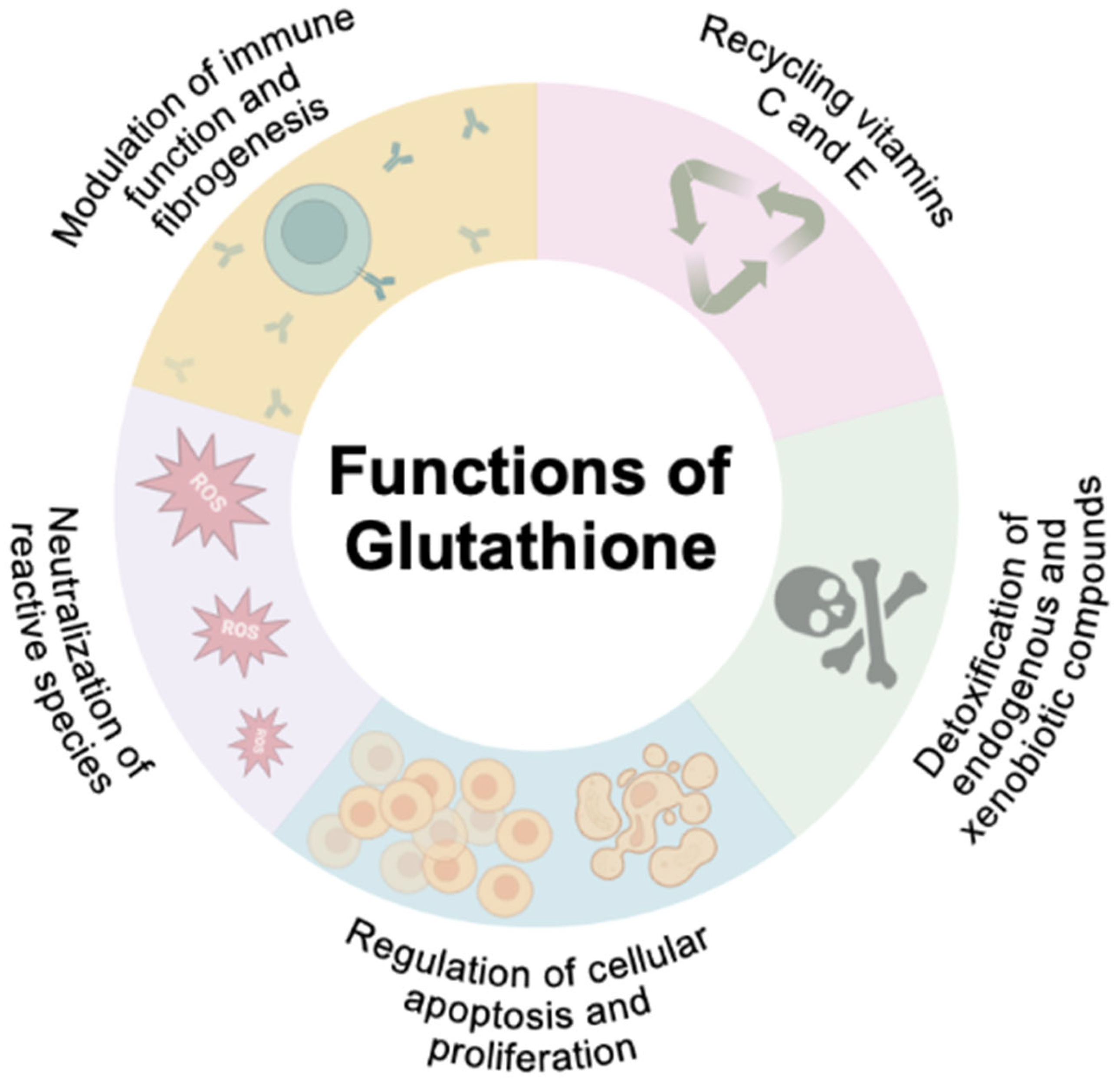 Biomedicines 13 00644 g003