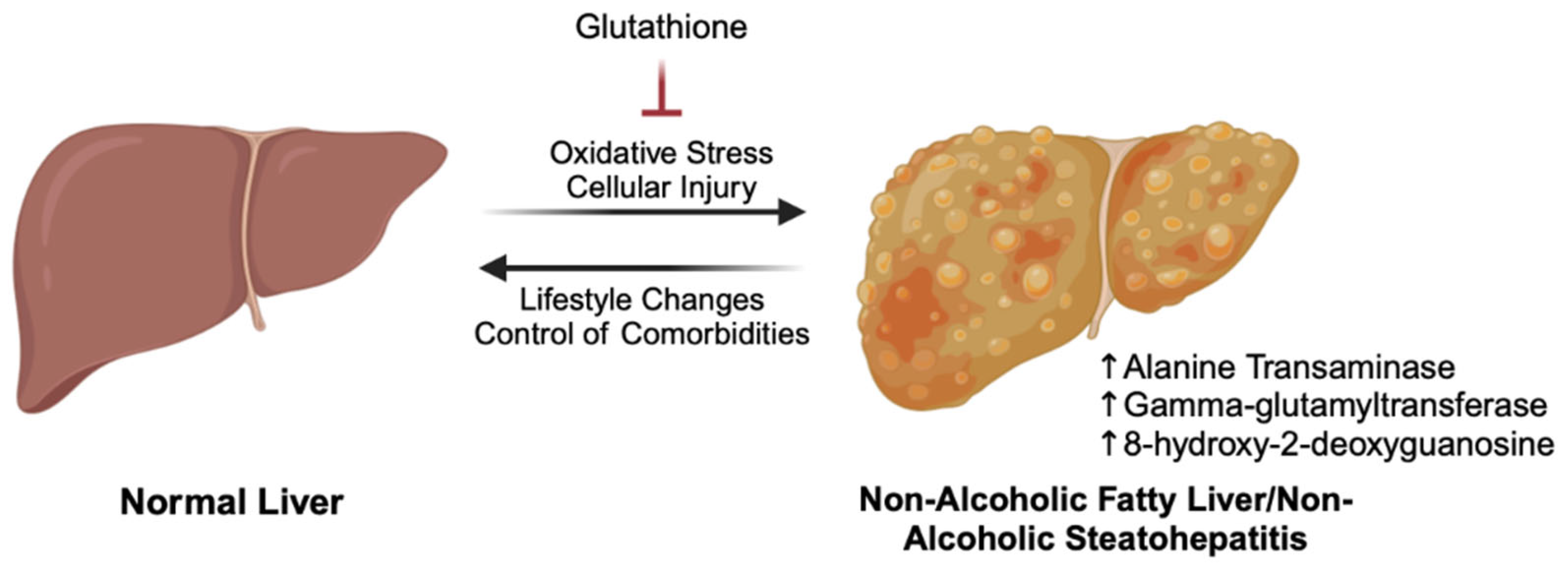 Biomedicines 13 00644 g004