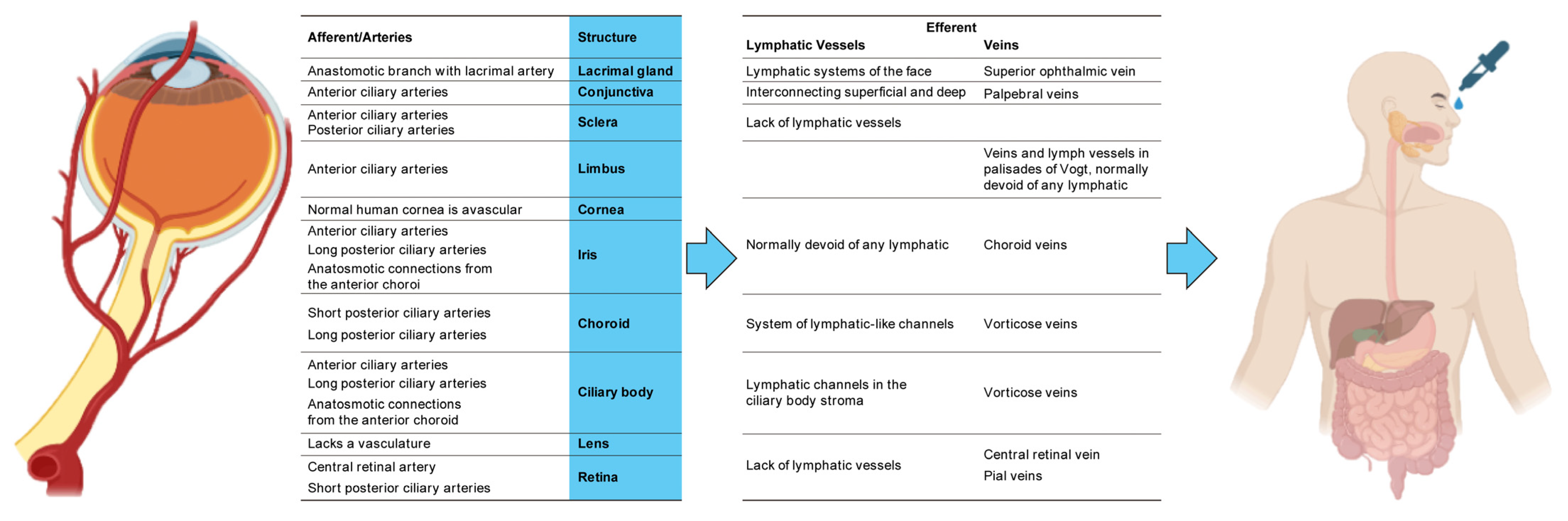 Biomedicines 13 00645 g001 Biomedicines 13 00645 g001