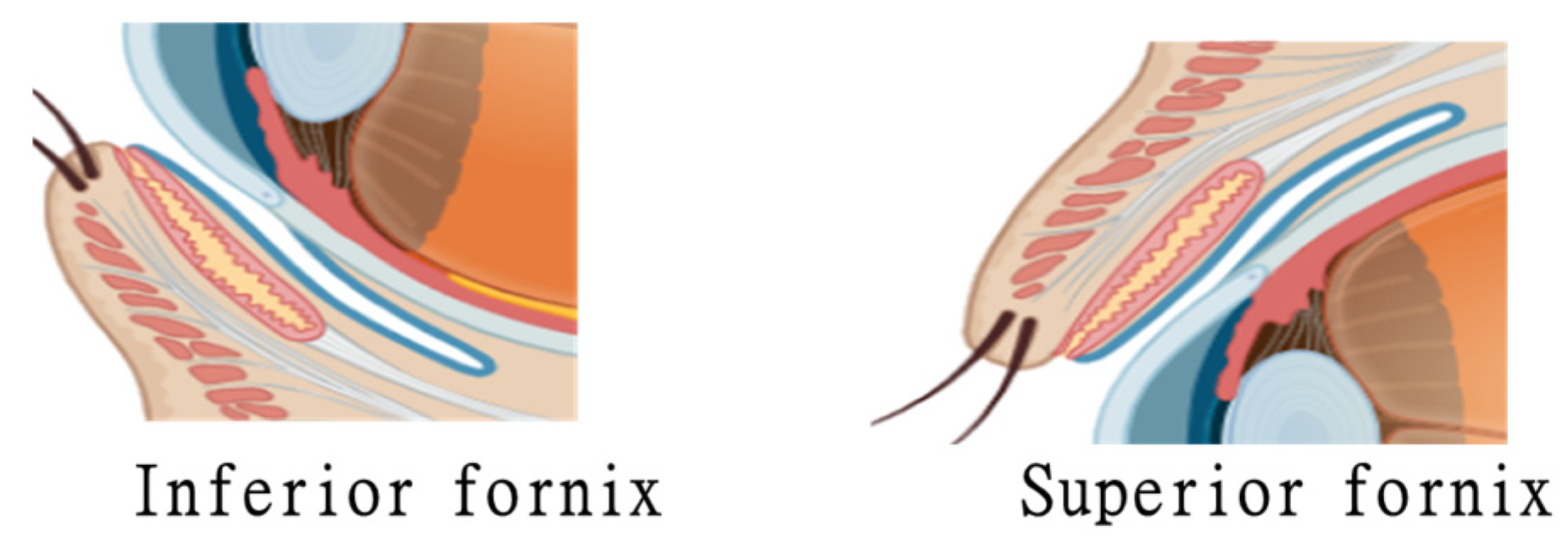 Biomedicines 13 00645 g003 Biomedicines 13 00645 g003