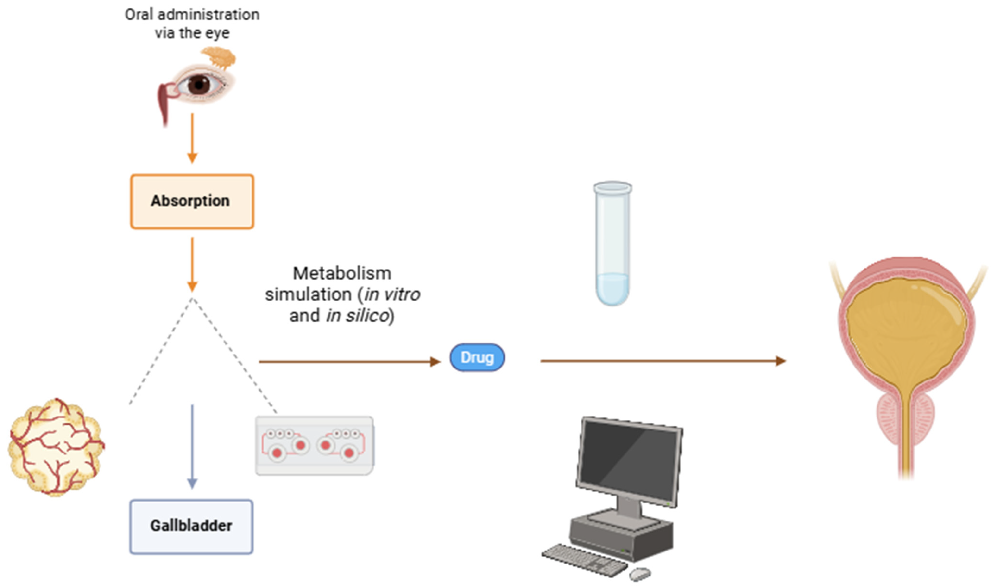 Biomedicines 13 00645 g004 Biomedicines 13 00645 g004
