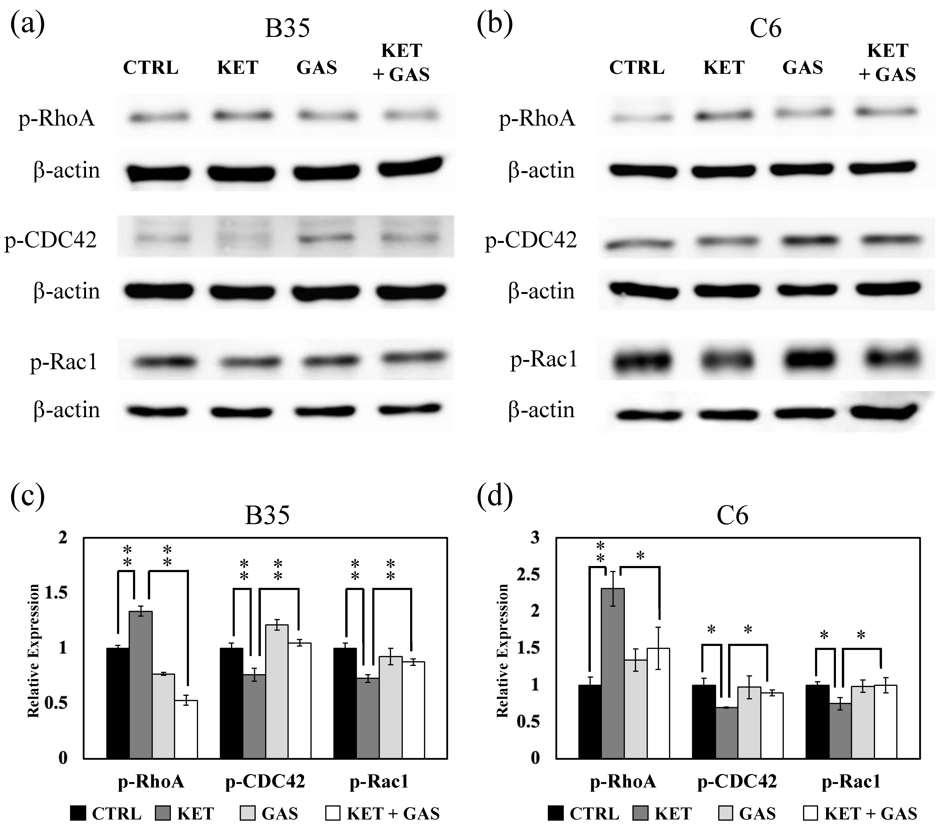 Biomedicines 13 00649 g003 Biomedicines 13 00649 g003