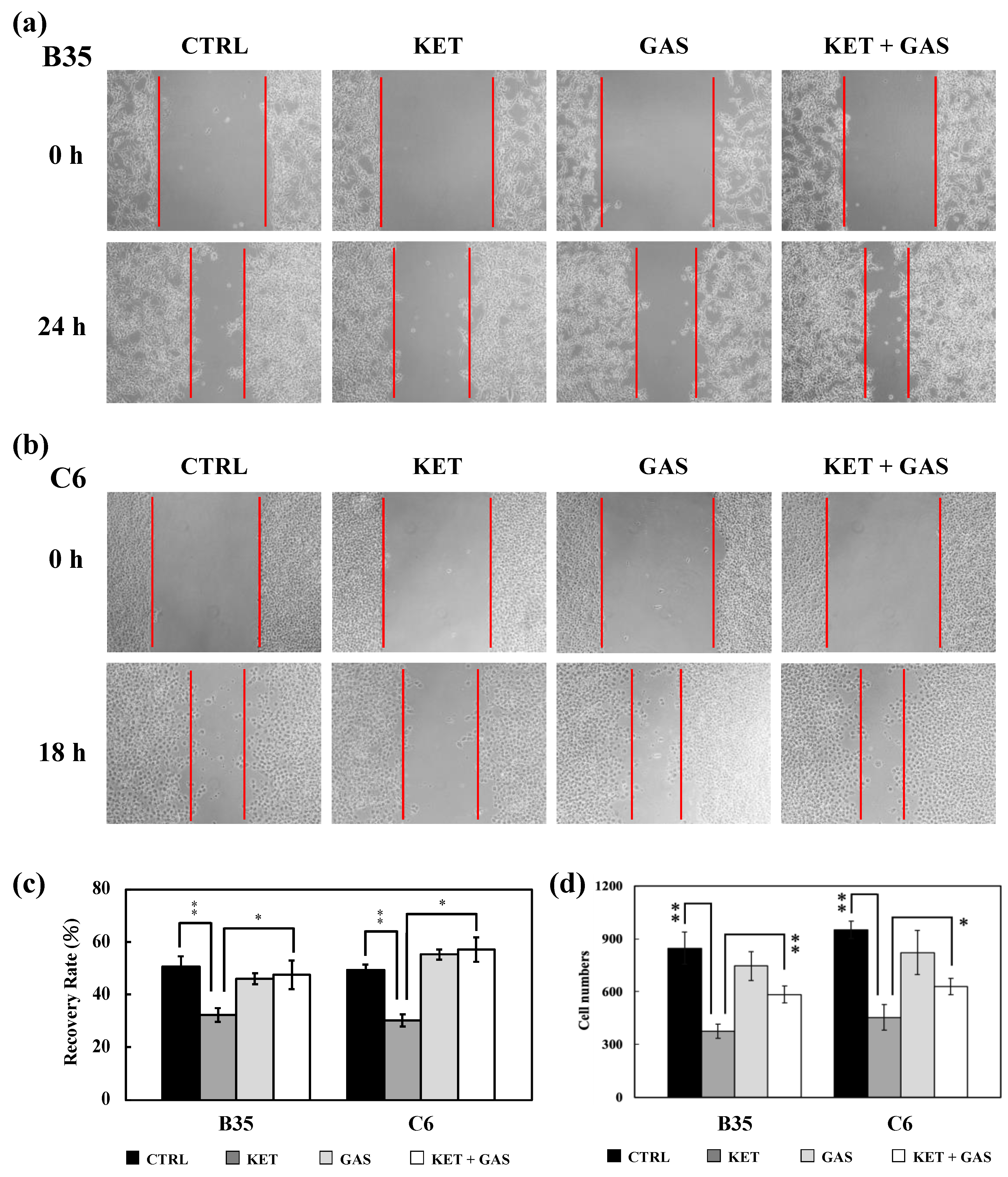 Biomedicines 13 00649 g006 Biomedicines 13 00649 g006