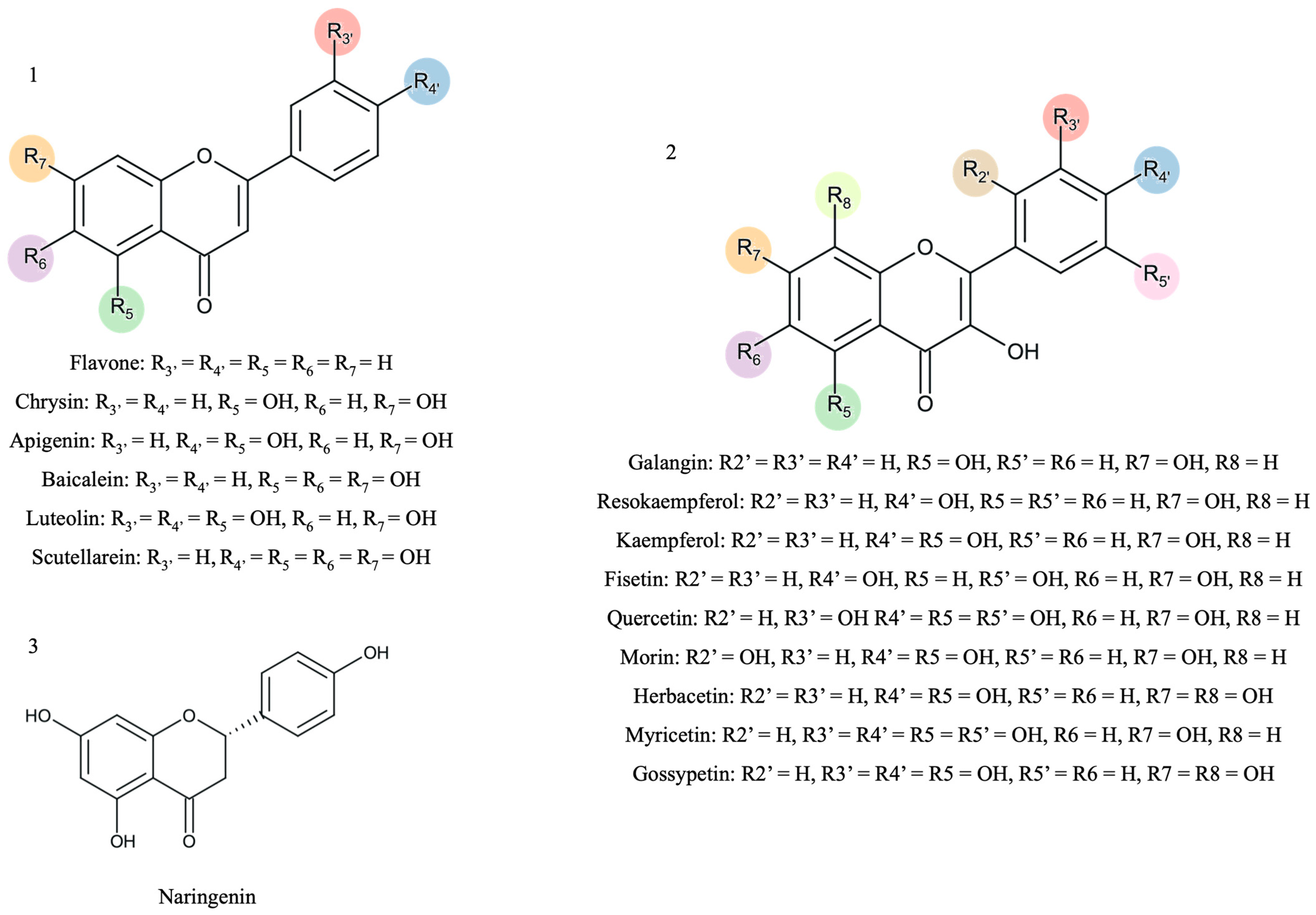 Biomedicines 13 00655 g001 Biomedicines 13 00655 g001