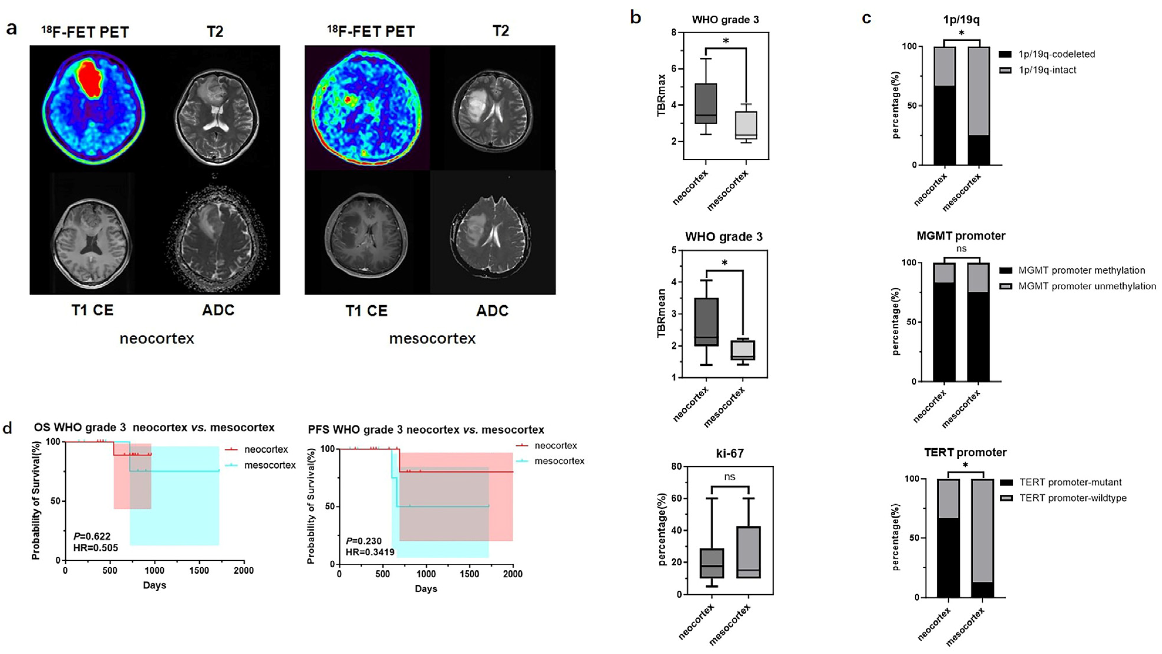 Biomedicines 13 00657 g003