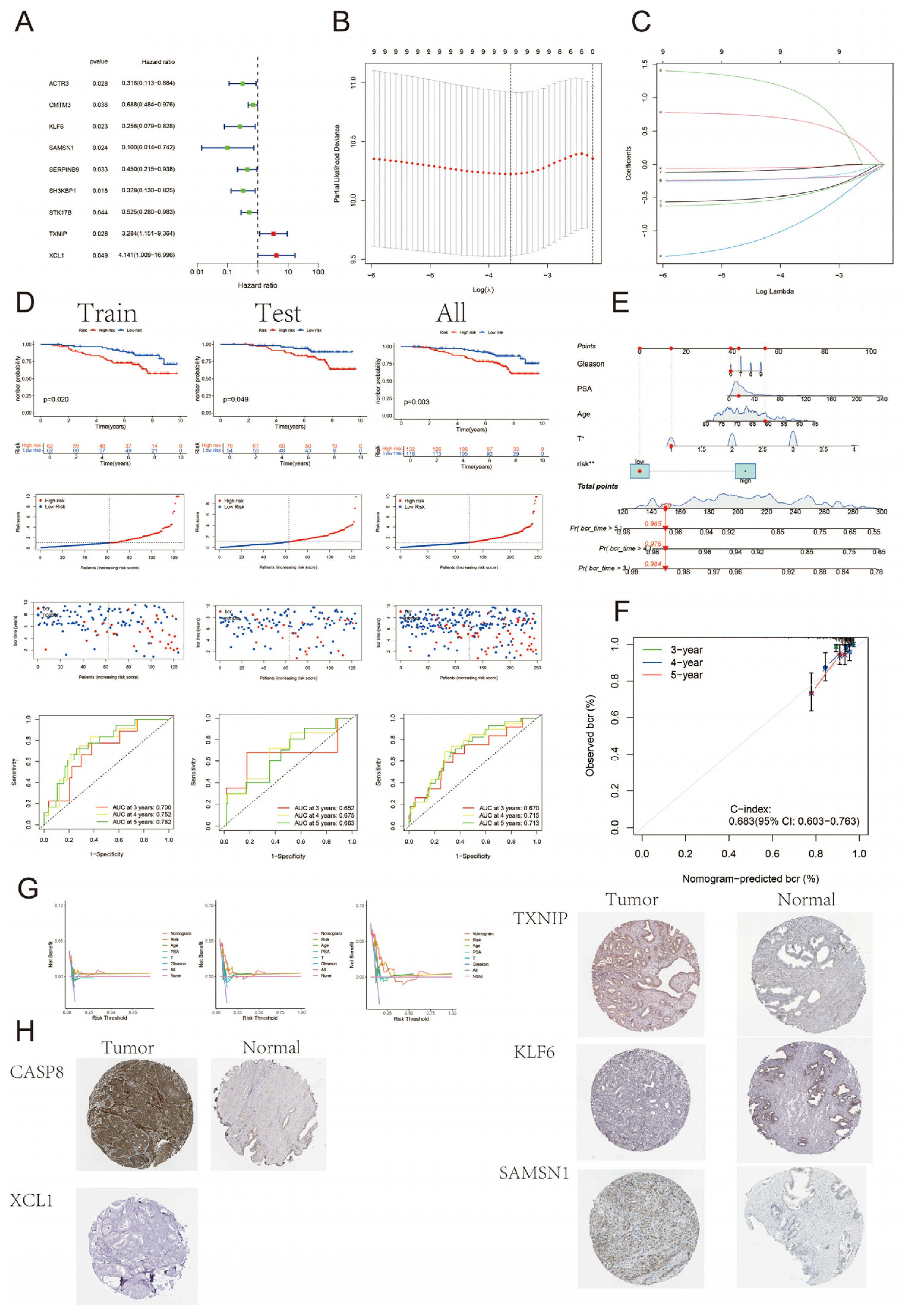 Biomedicines 13 00661 g004 Biomedicines 13 00661 g004
