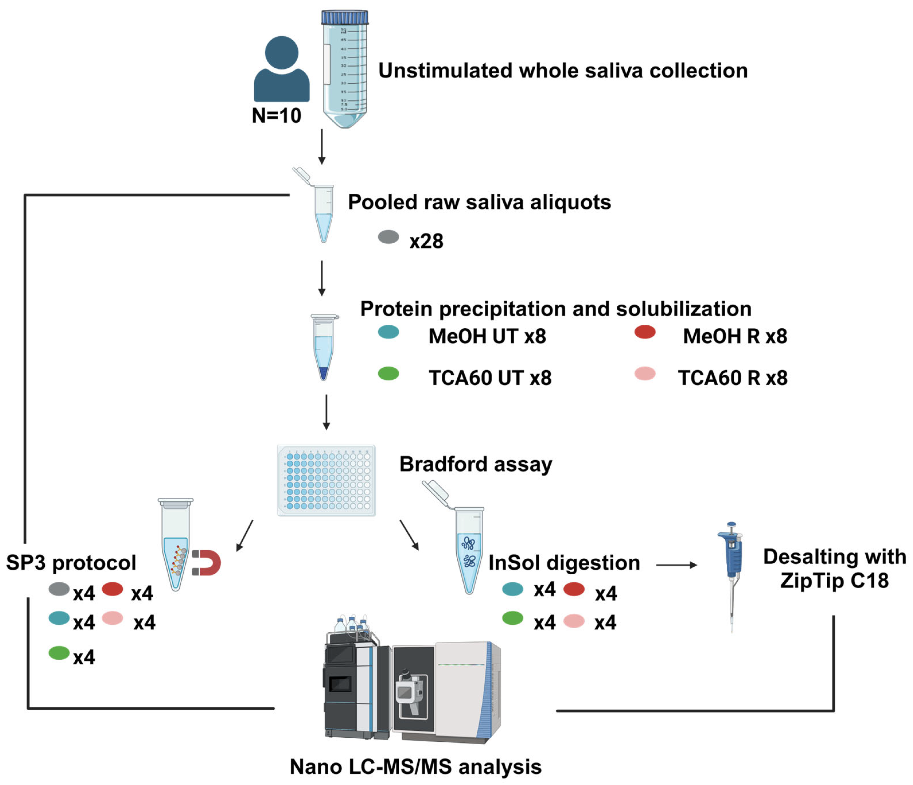 Biomedicines 13 00662 g001