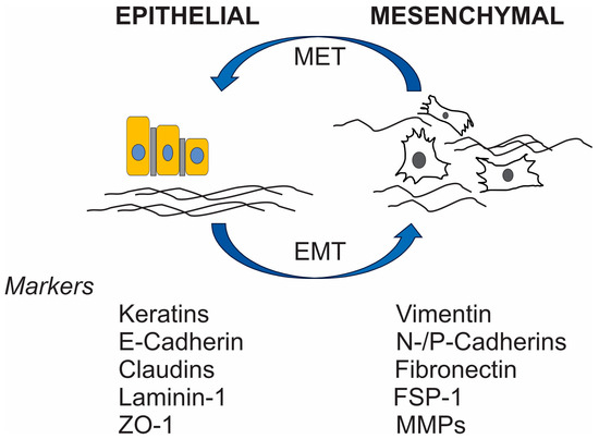 Digging Through the Complexities of Immunological Approaches