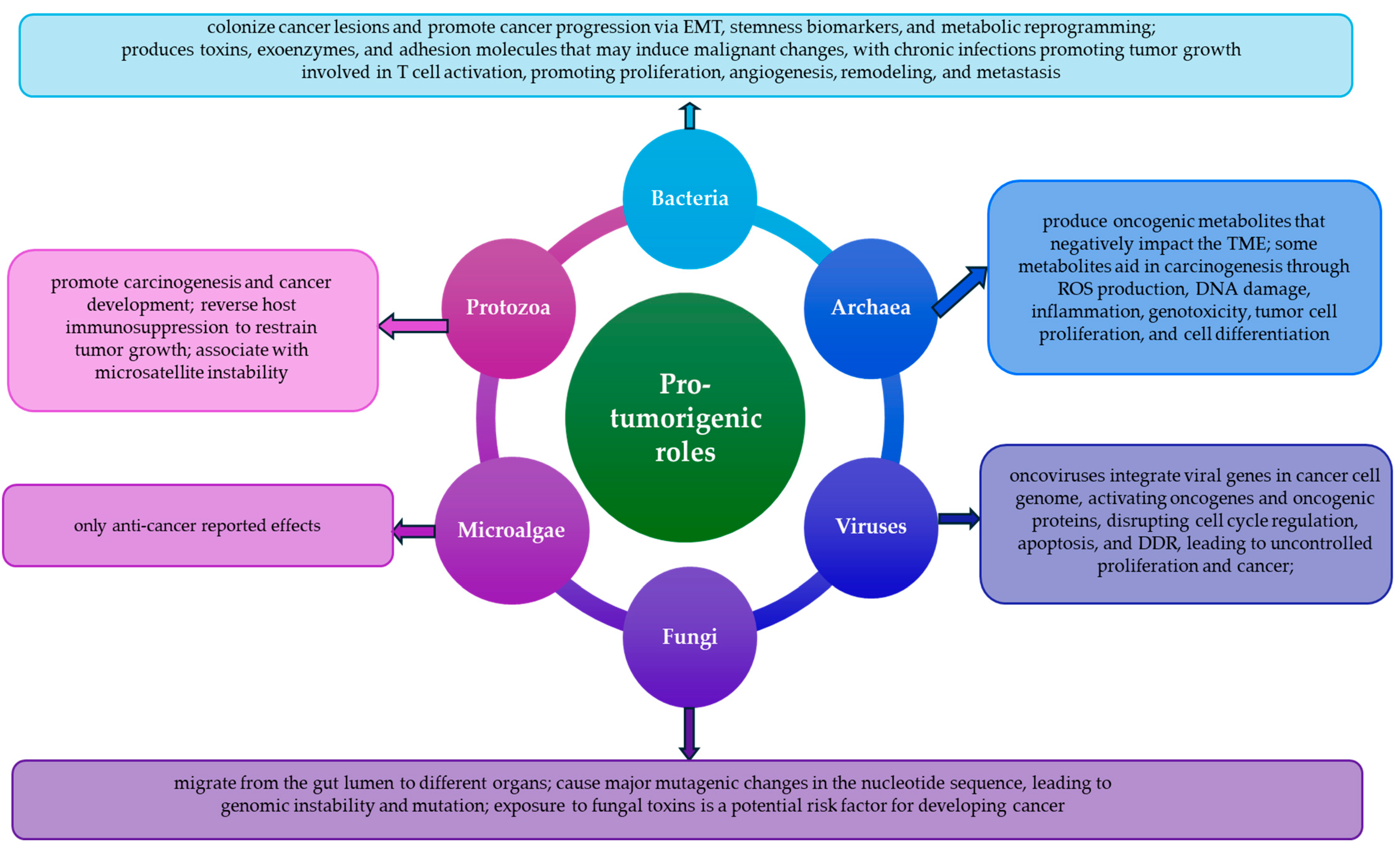Biomedicines 13 00665 g001 Biomedicines 13 00665 g001