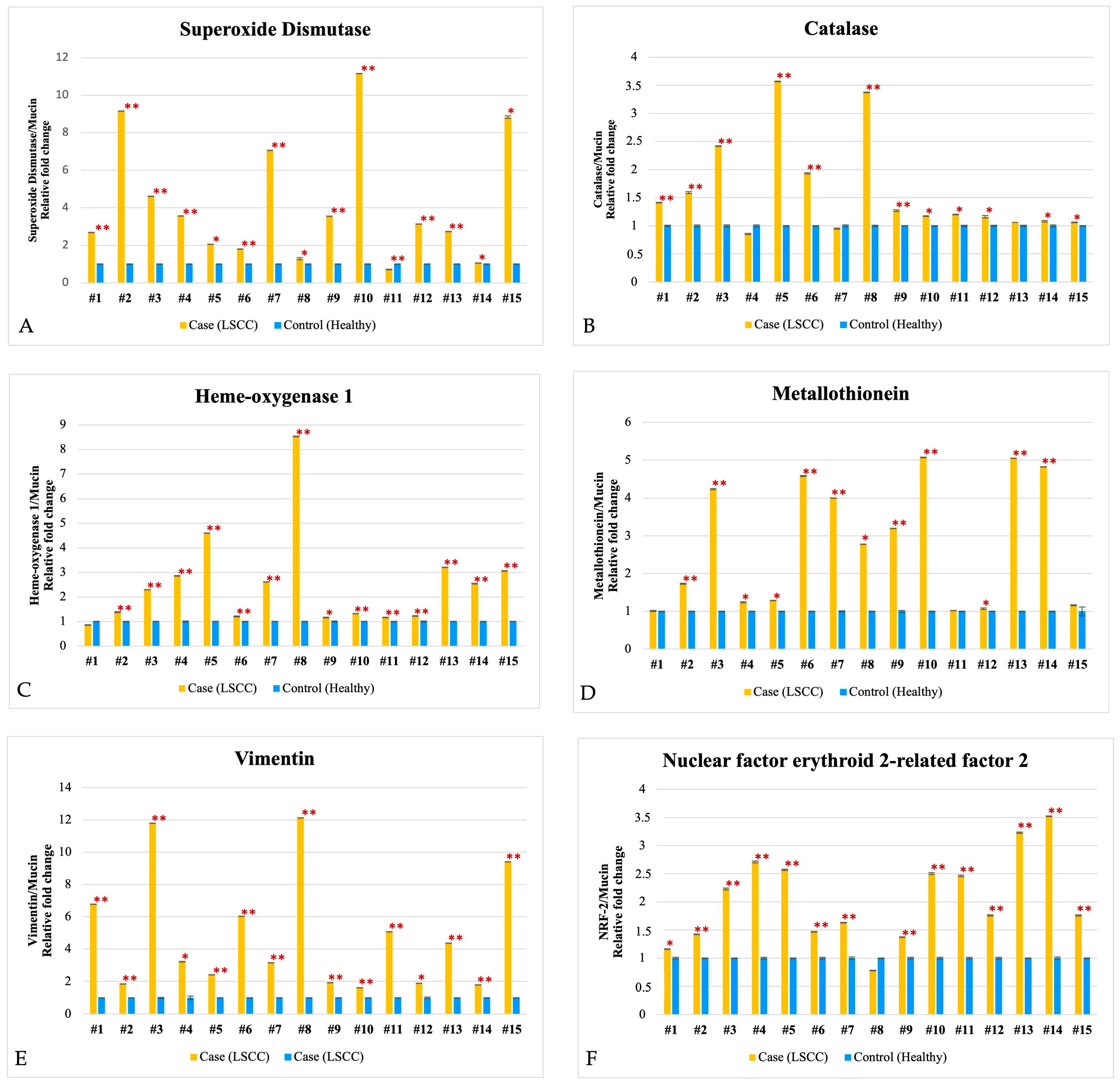 Biomedicines 13 00667 g001