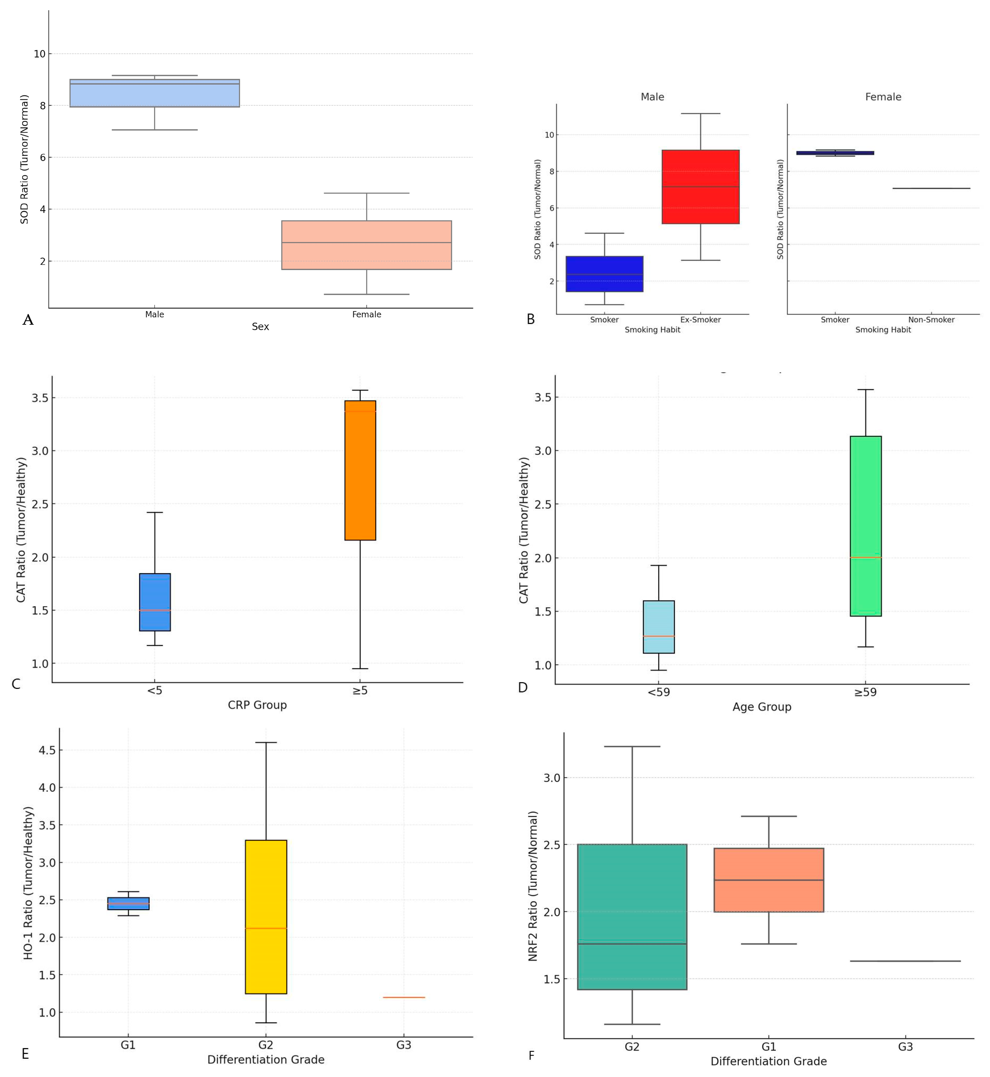 Biomedicines 13 00667 g002