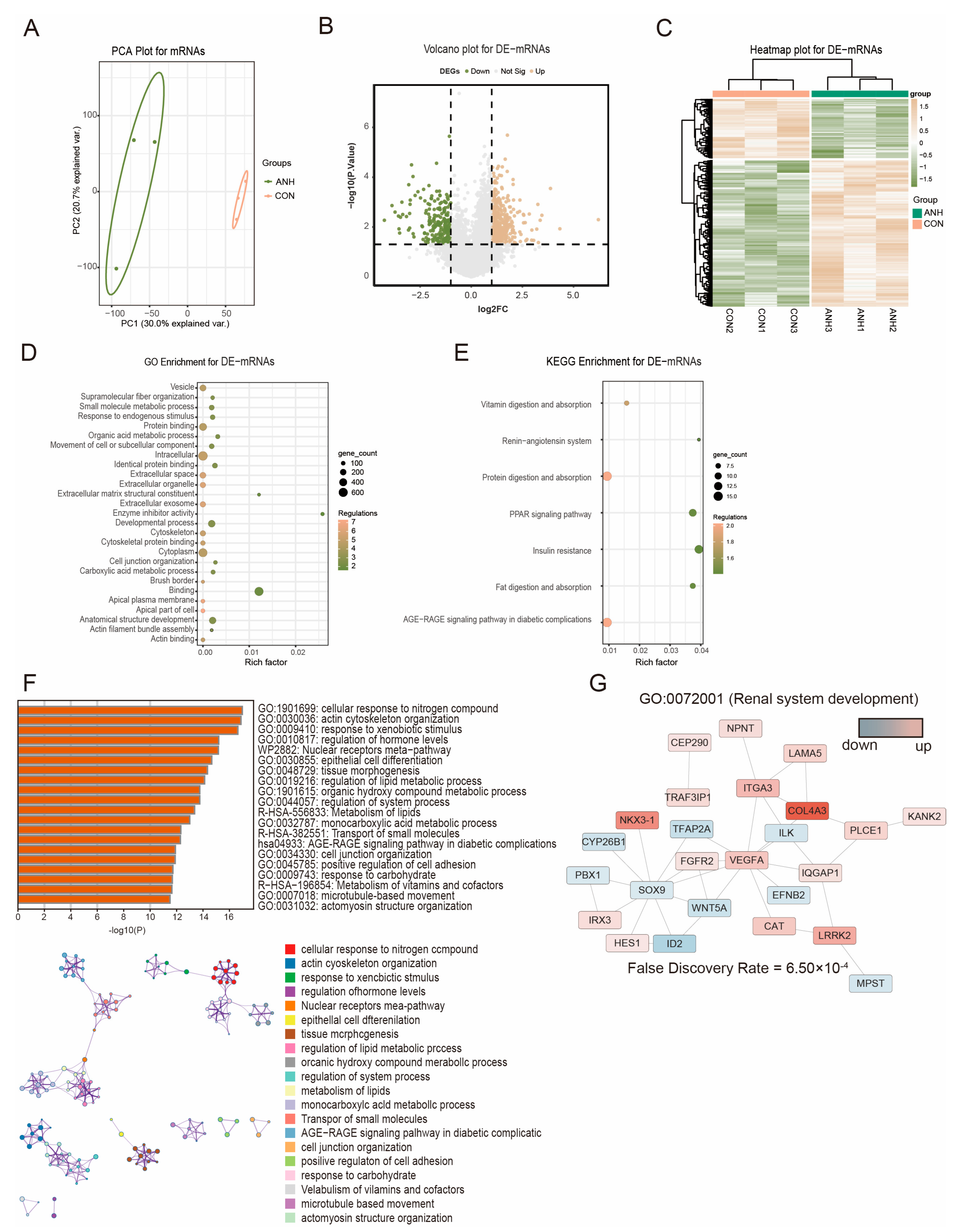 Biomedicines 13 00668 g002