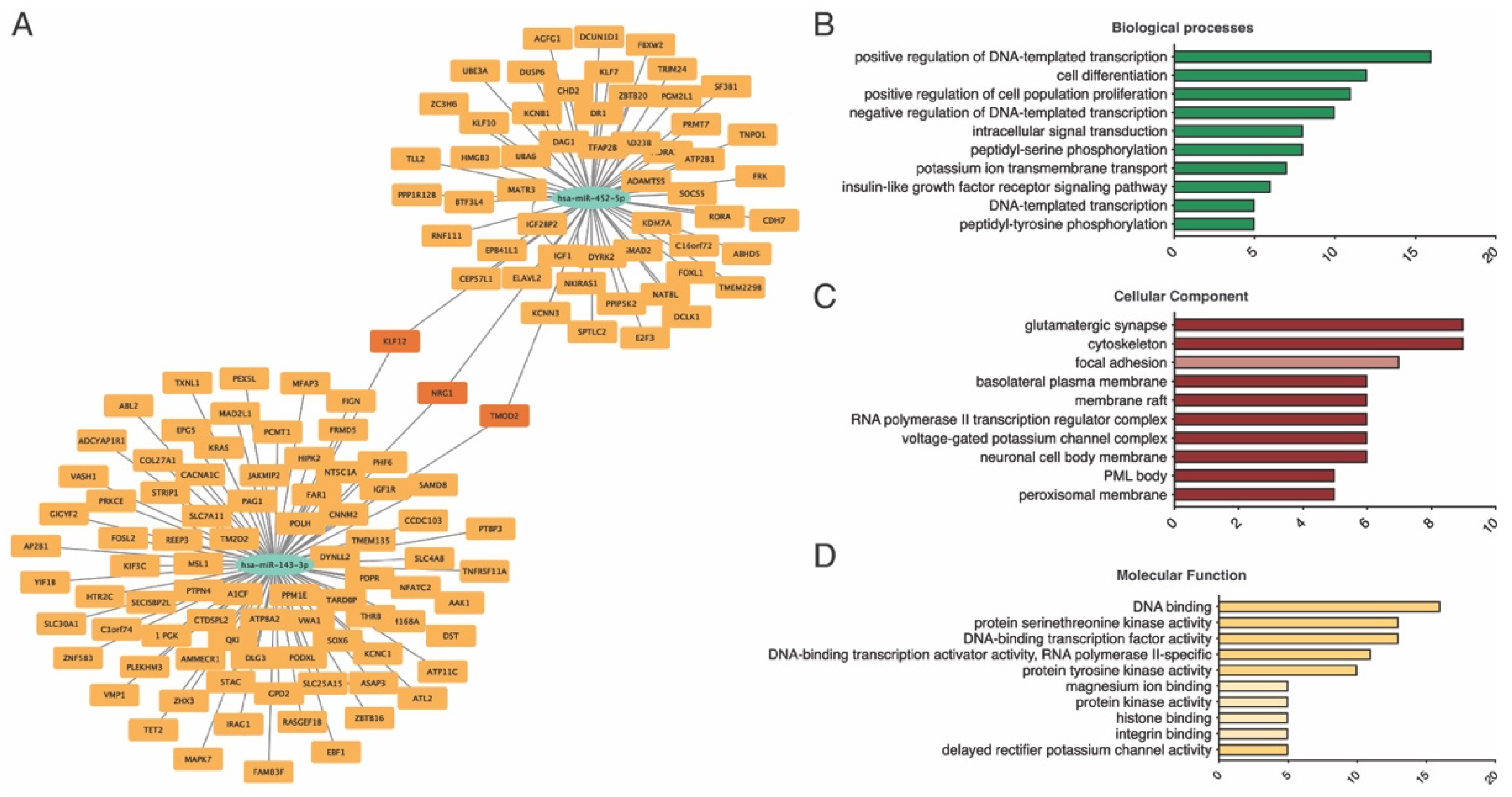 Biomedicines 13 00671 g006 Biomedicines 13 00671 g006
