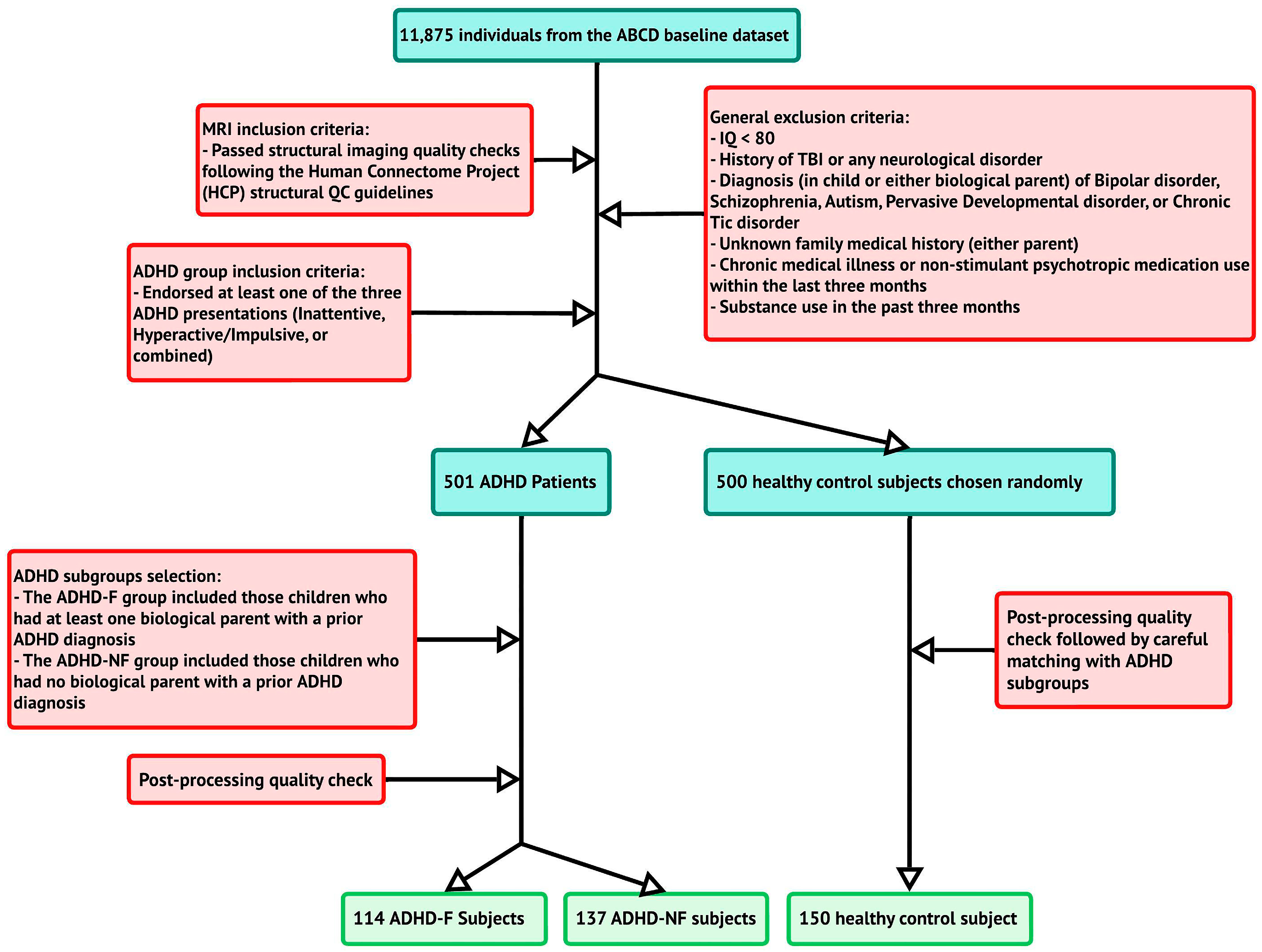 Biomedicines 13 00676 g001