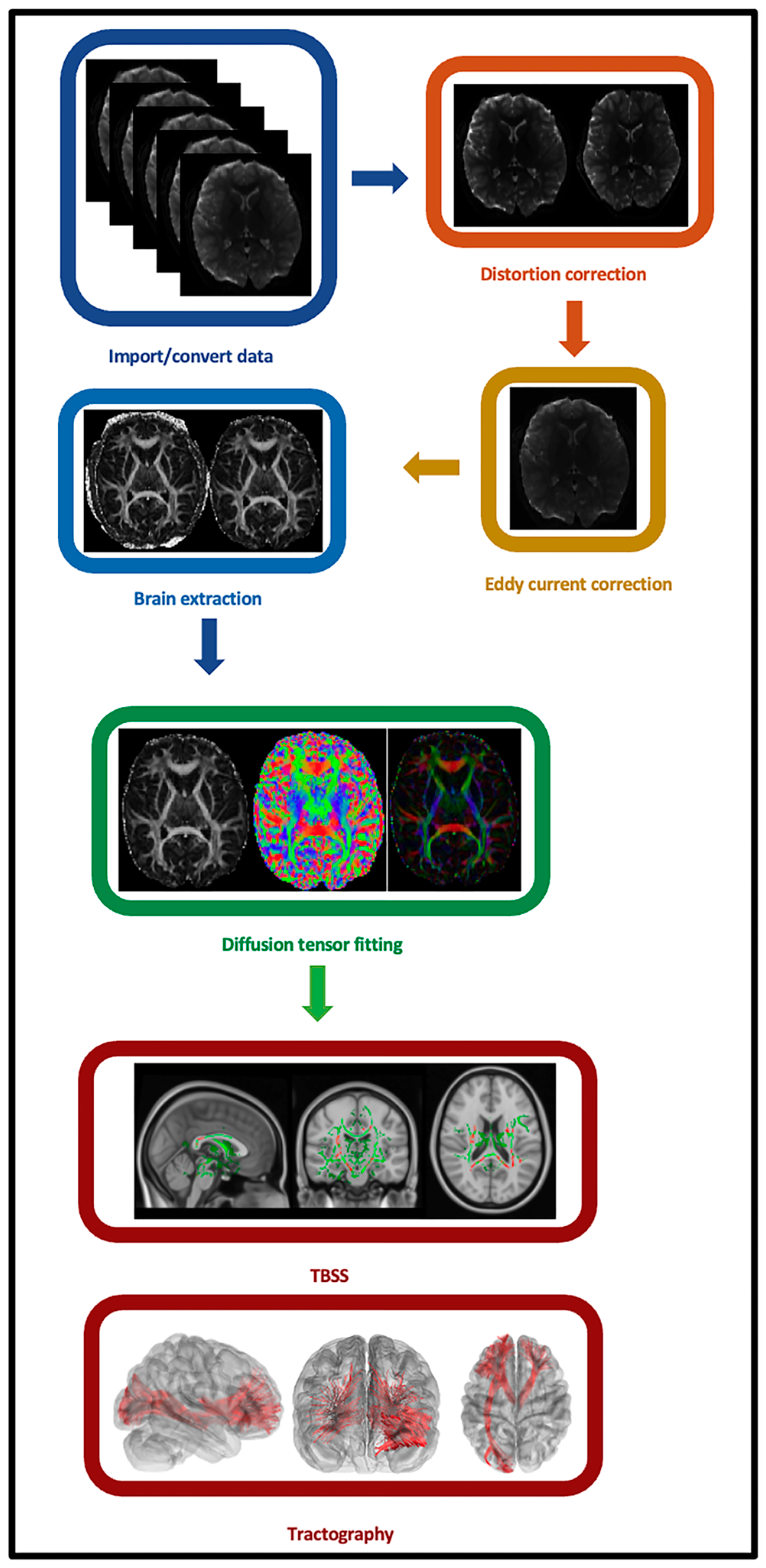 Biomedicines 13 00676 g002