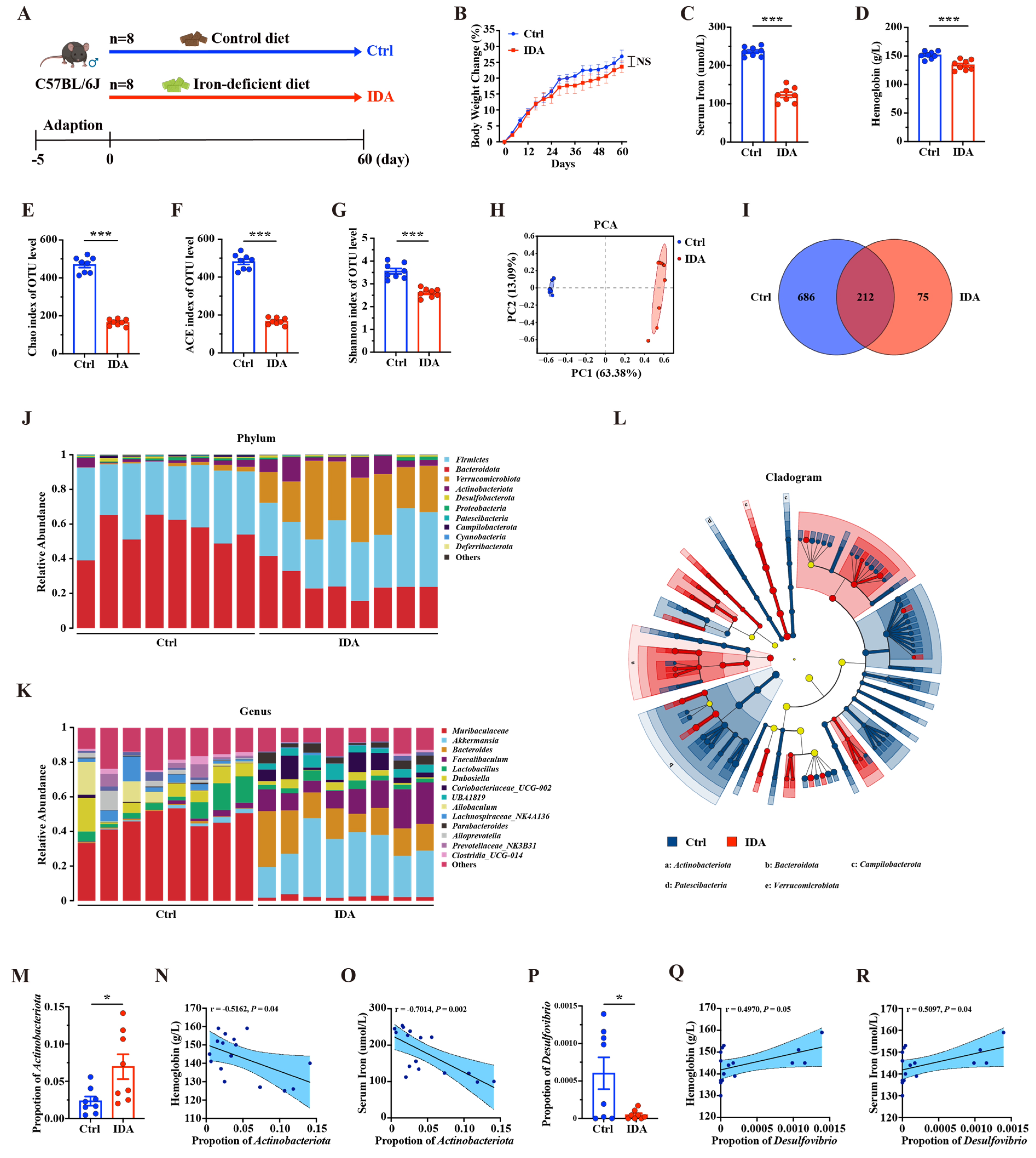 Biomedicines 13 00677 g006