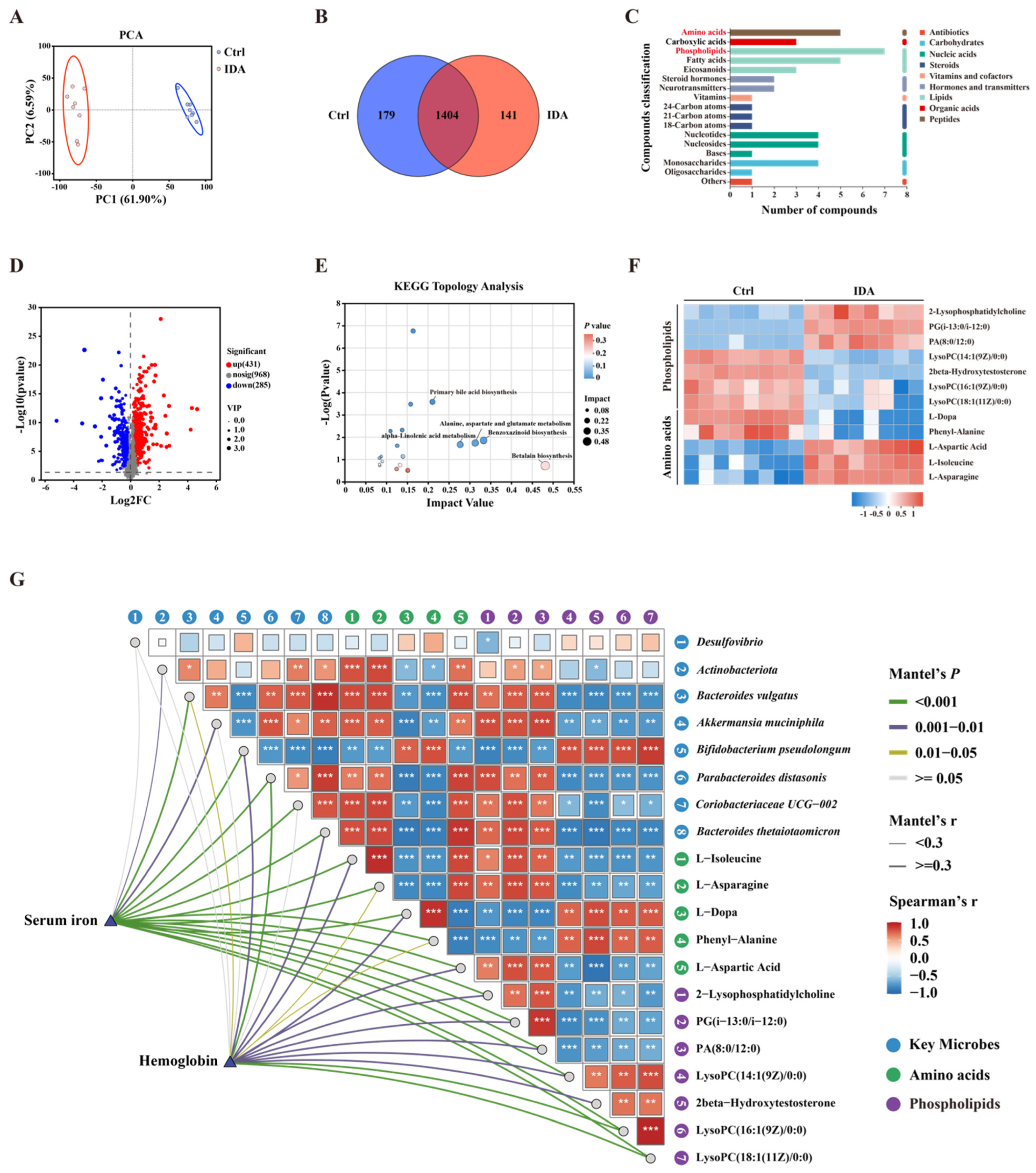 Biomedicines 13 00677 g007