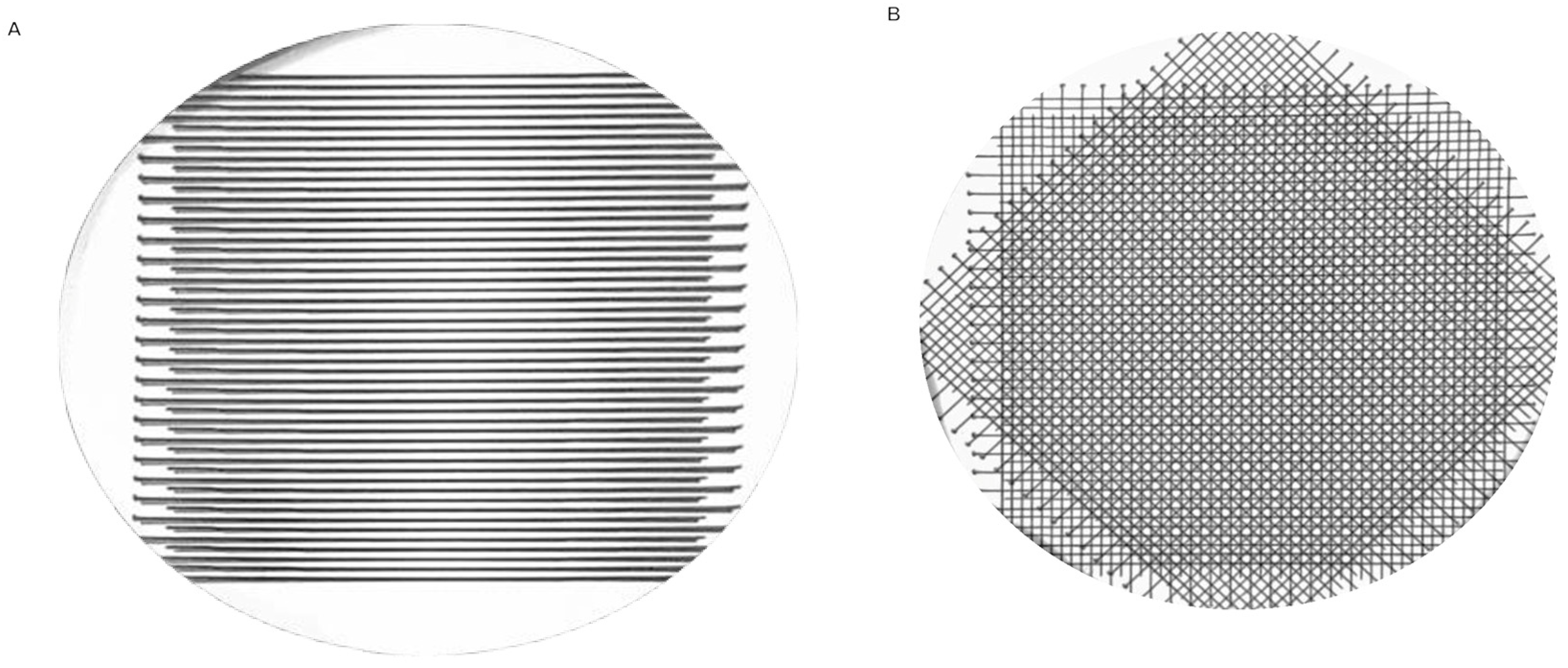 Biomedicines 13 00678 g004