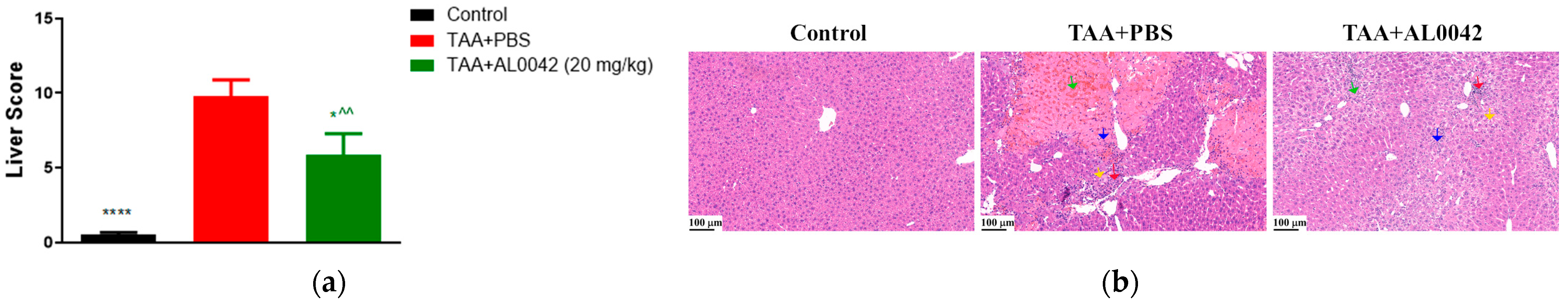Biomedicines 13 00686 g004 Biomedicines 13 00686 g004