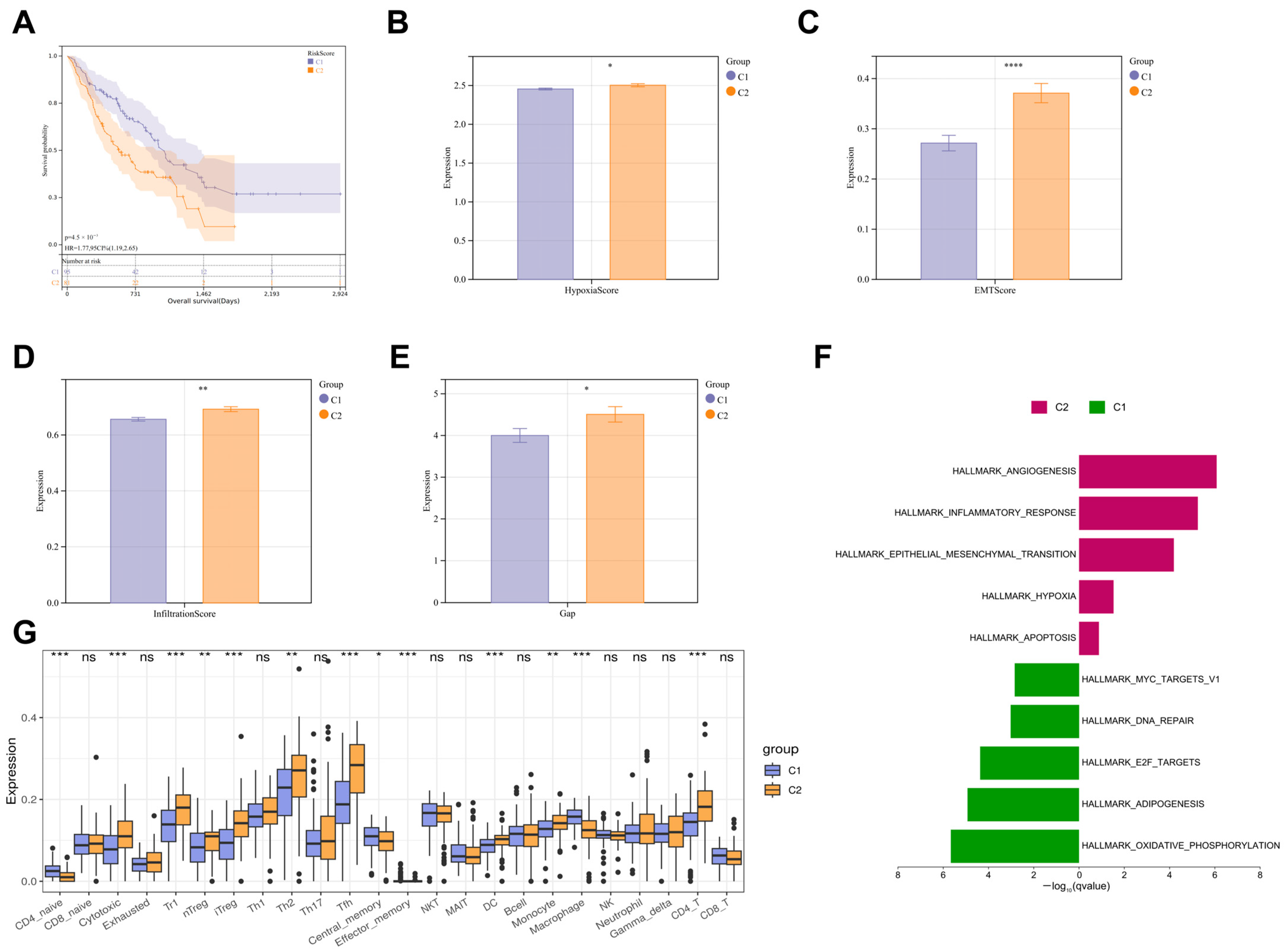 Biomedicines 13 00690 g001