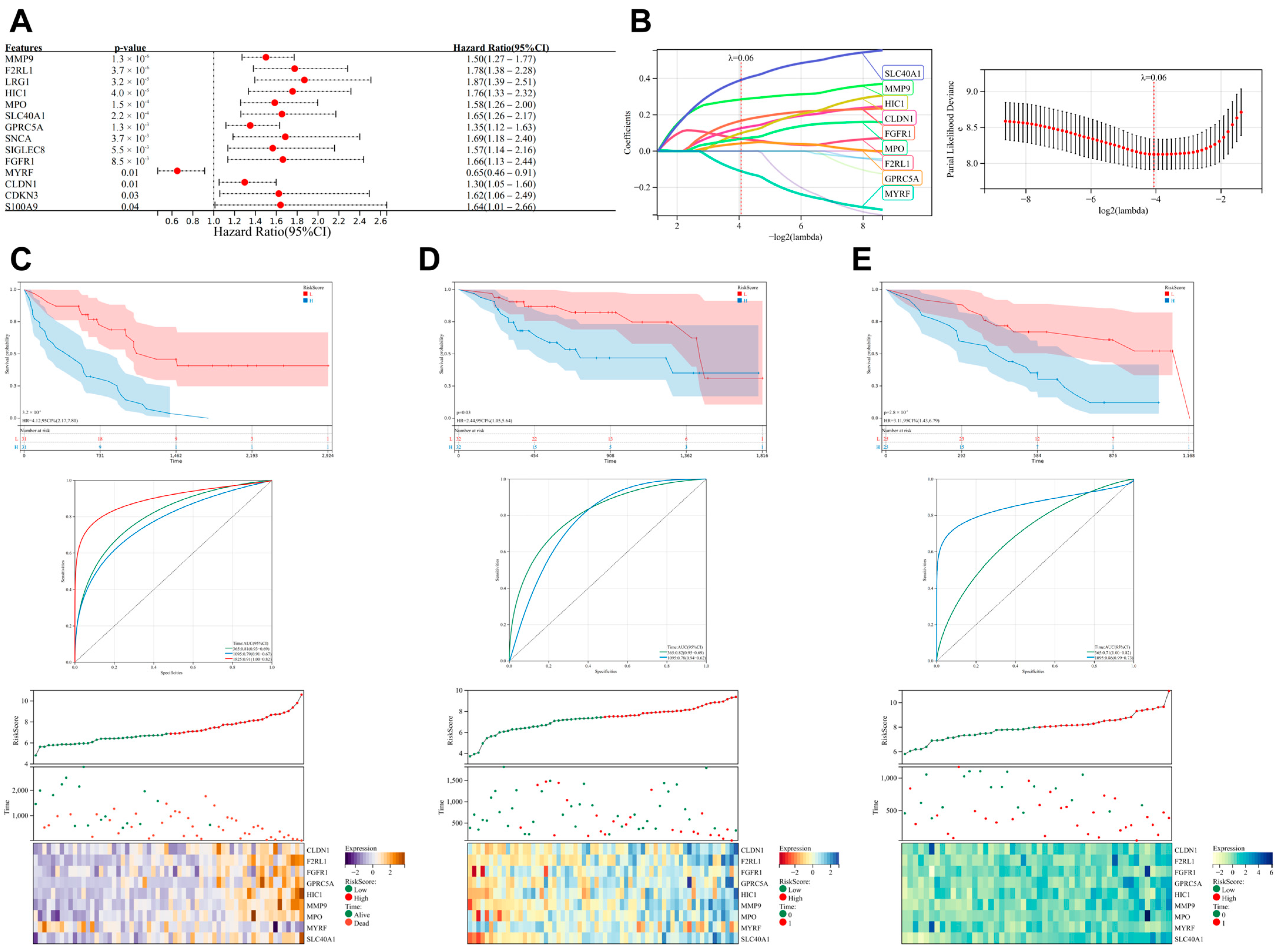 Biomedicines 13 00690 g003