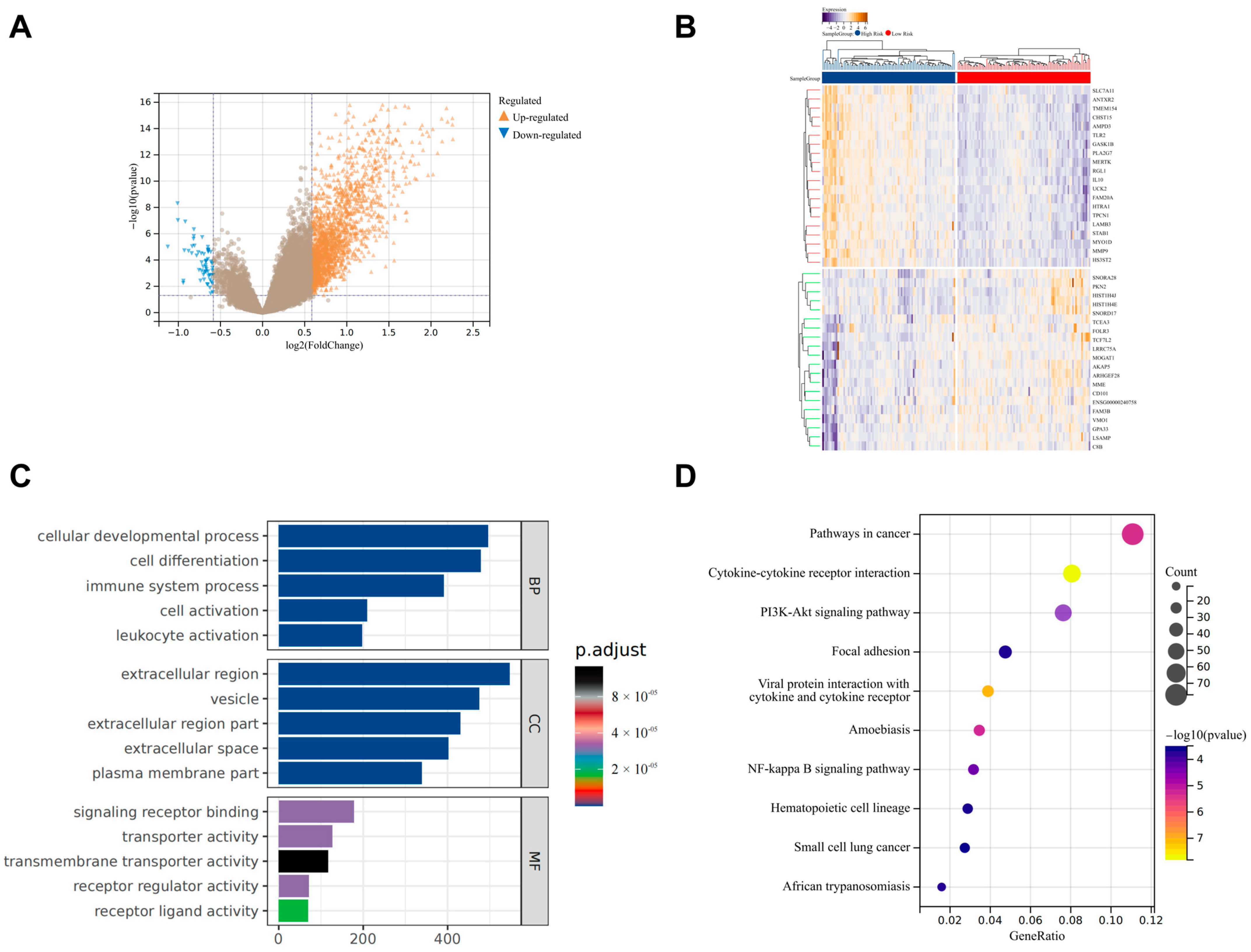 Biomedicines 13 00690 g006