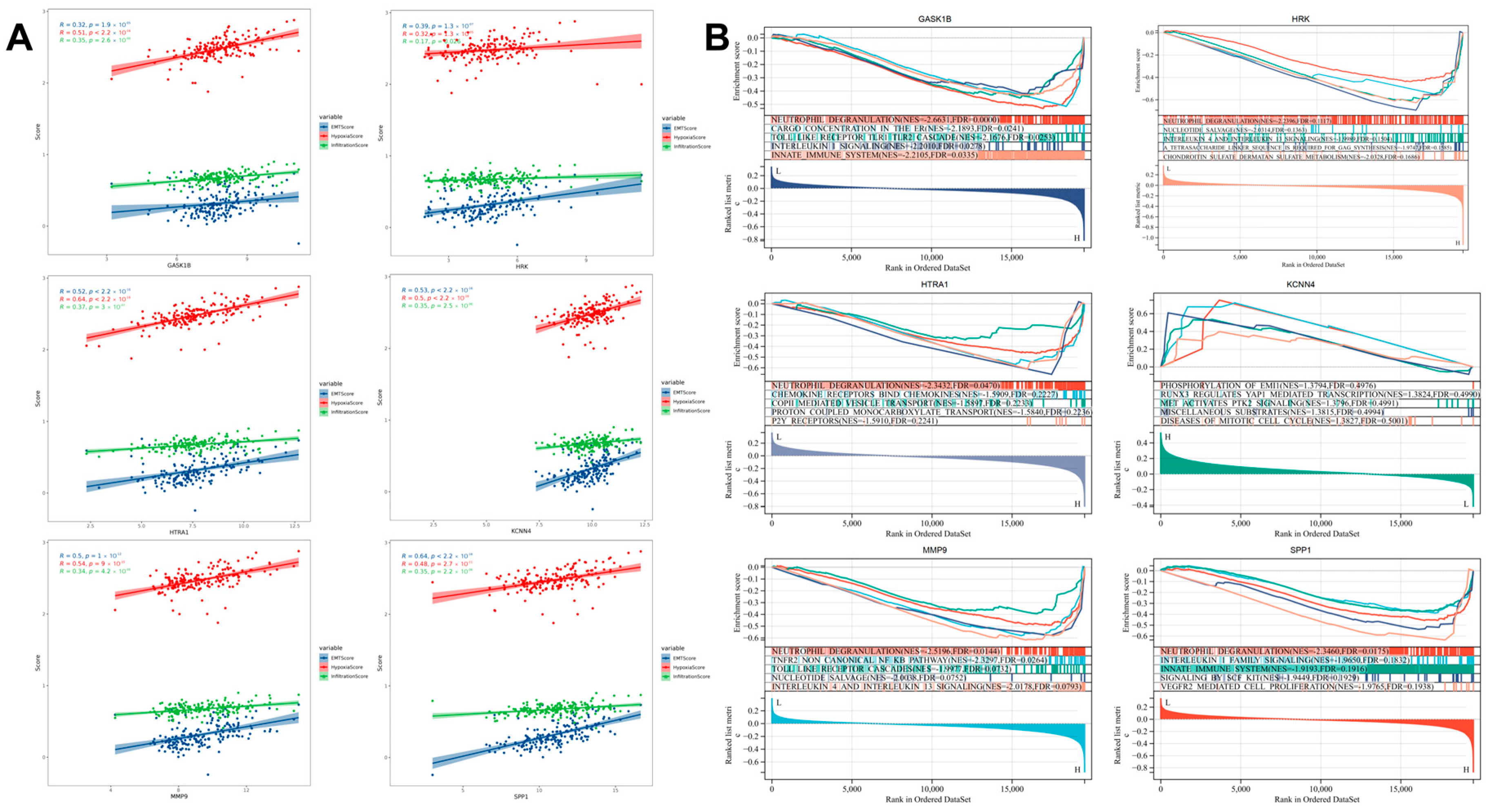 Biomedicines 13 00690 g009