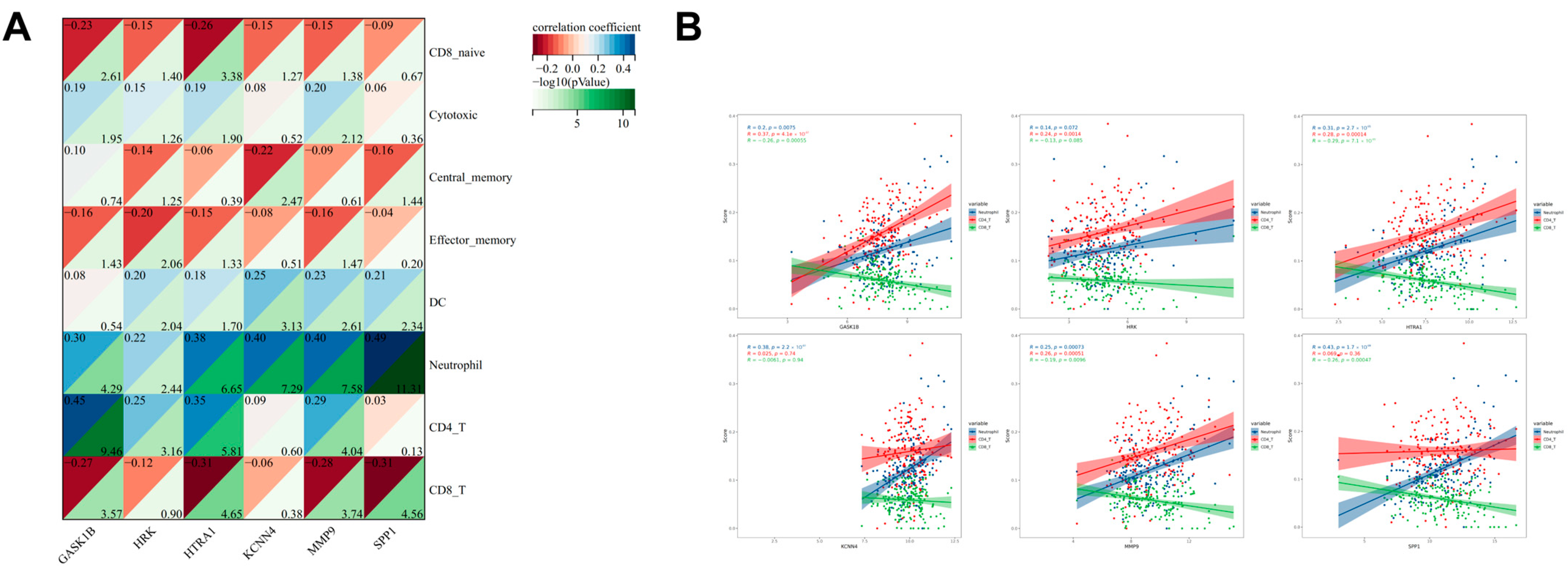 Biomedicines 13 00690 g010