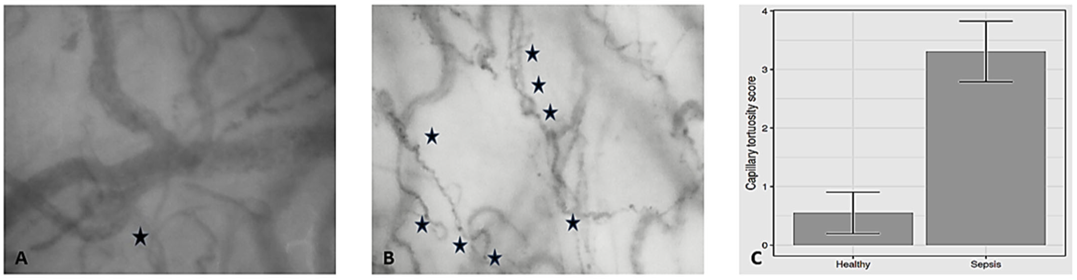 Biomedicines 13 00691 g001