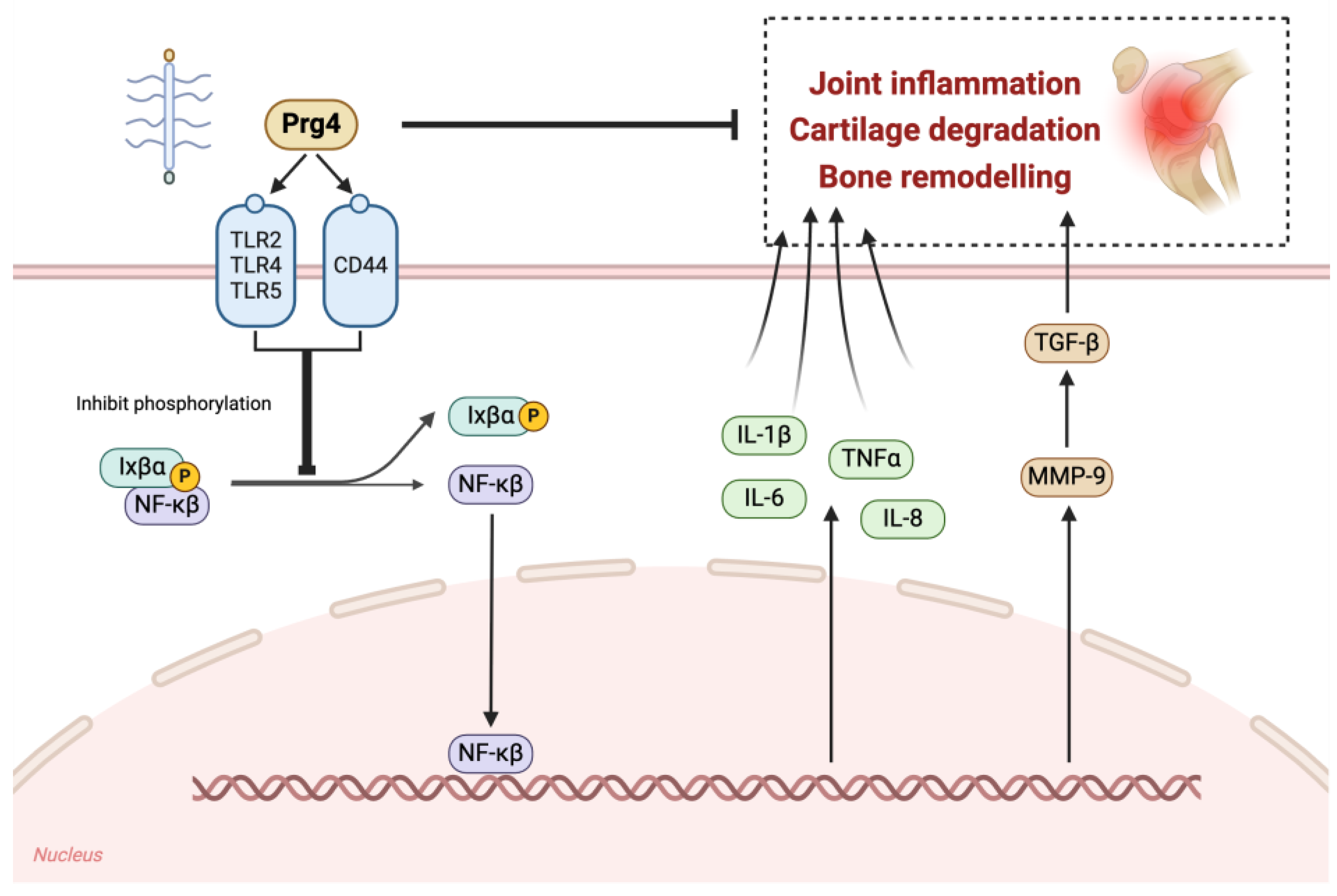 Biomedicines 13 00693 g002 Biomedicines 13 00693 g002