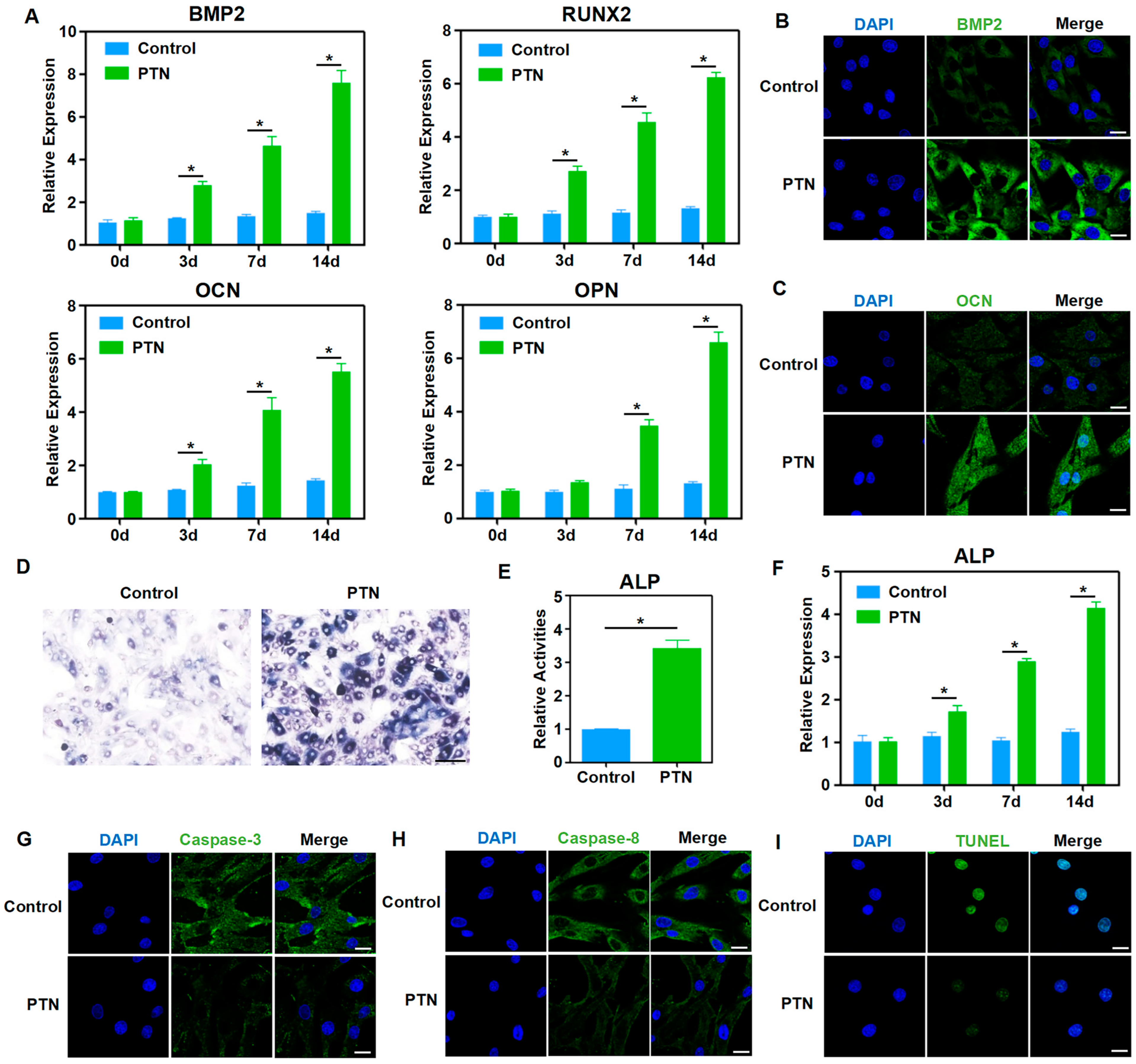 Biomedicines 13 00695 g001