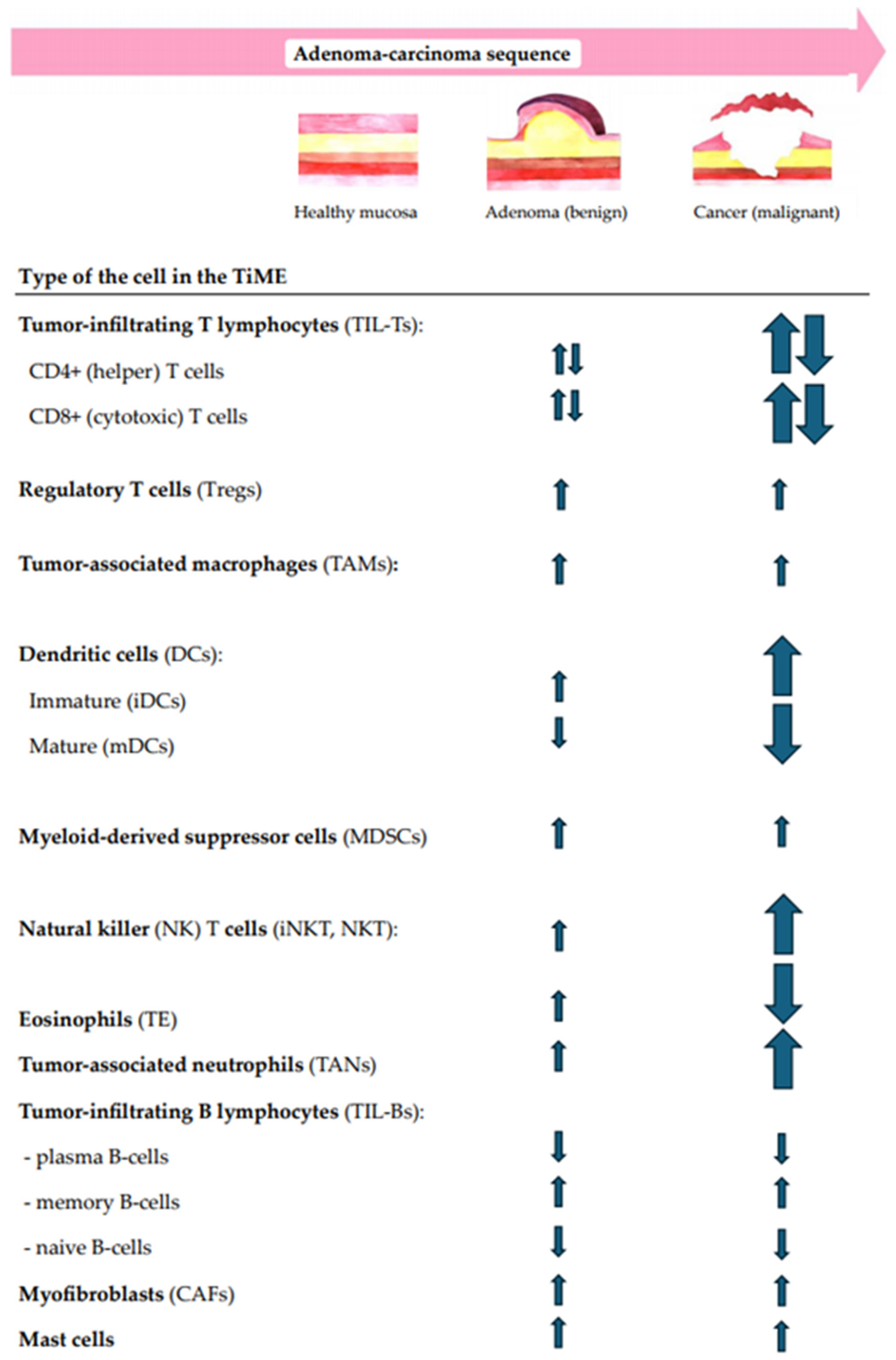 Biomedicines 13 00699 g002 Biomedicines 13 00699 g002