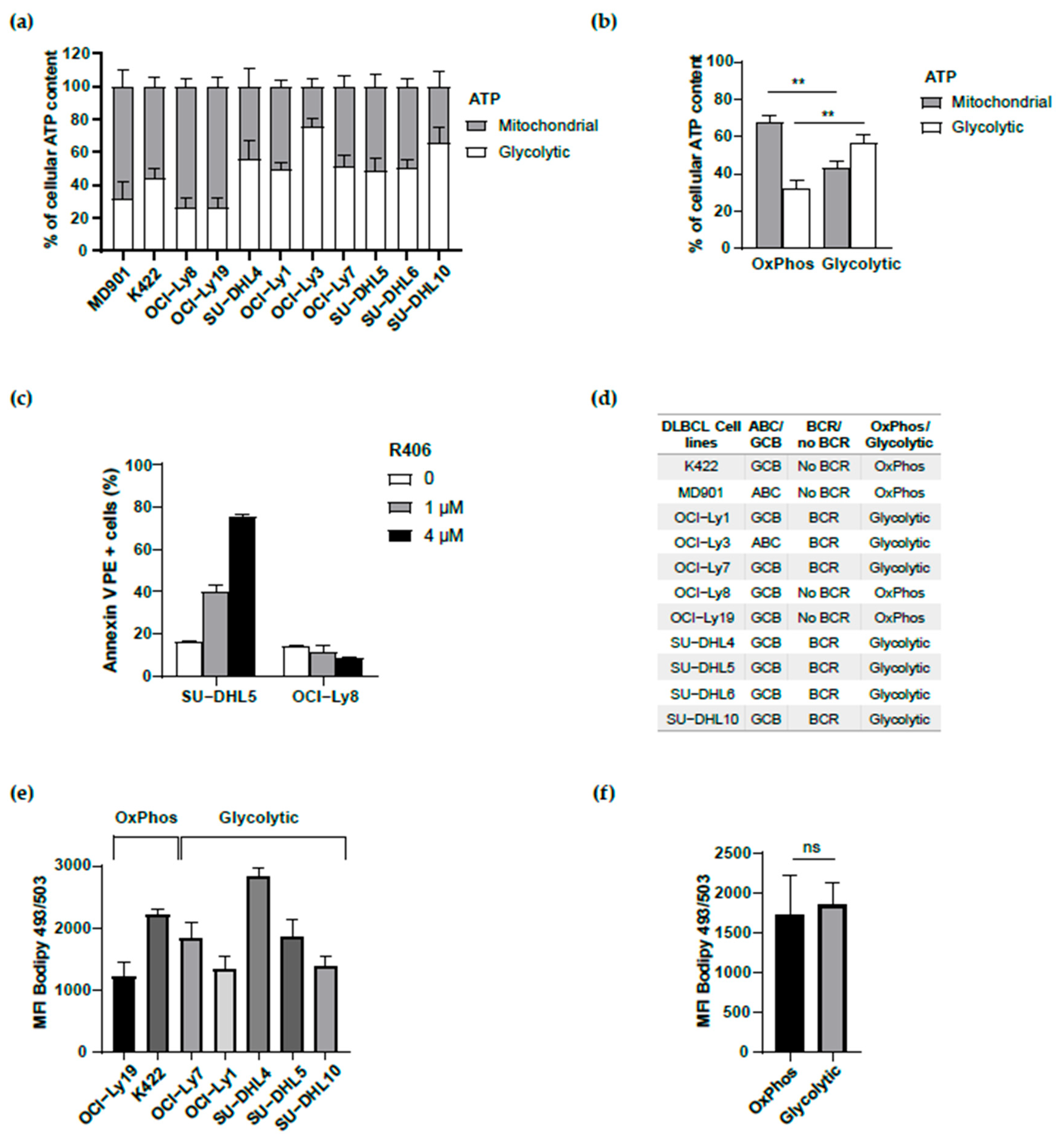 Biomedicines 13 00707 g001