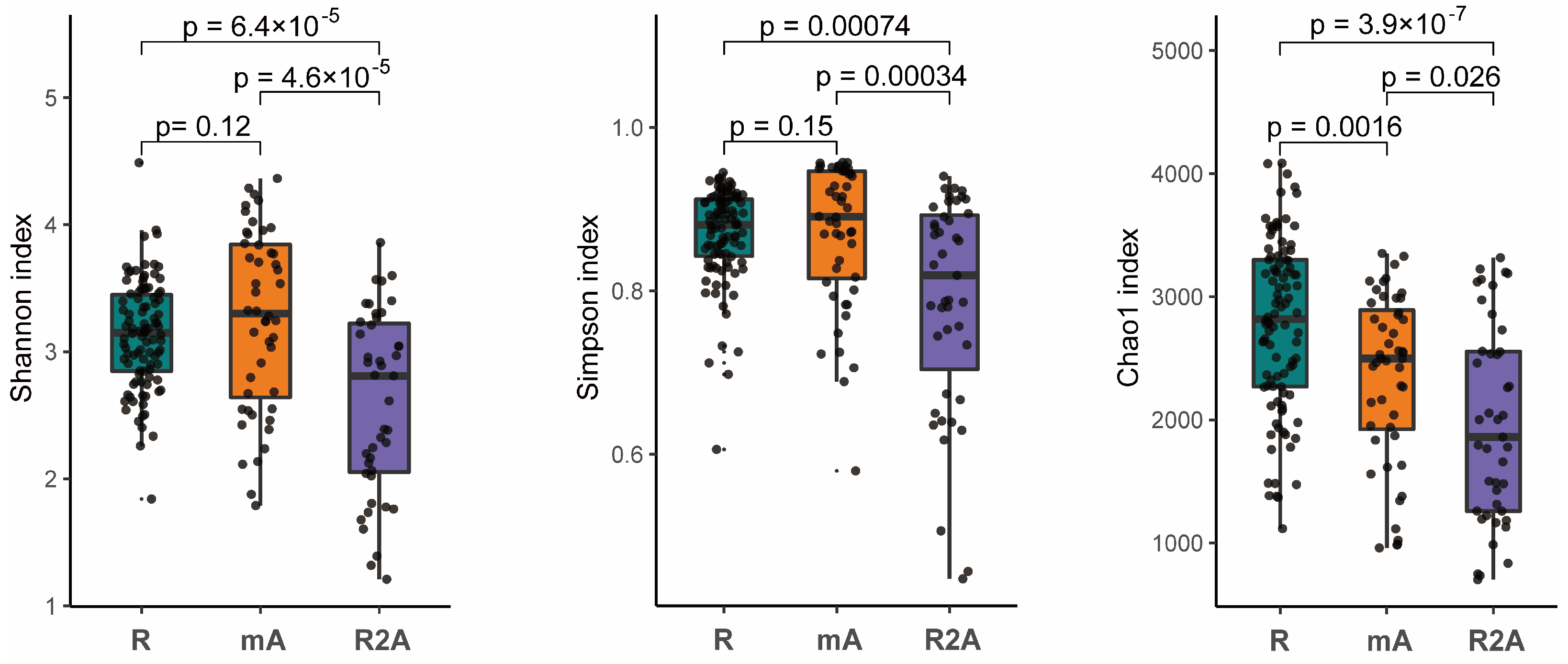 Biomedicines 13 00708 g001