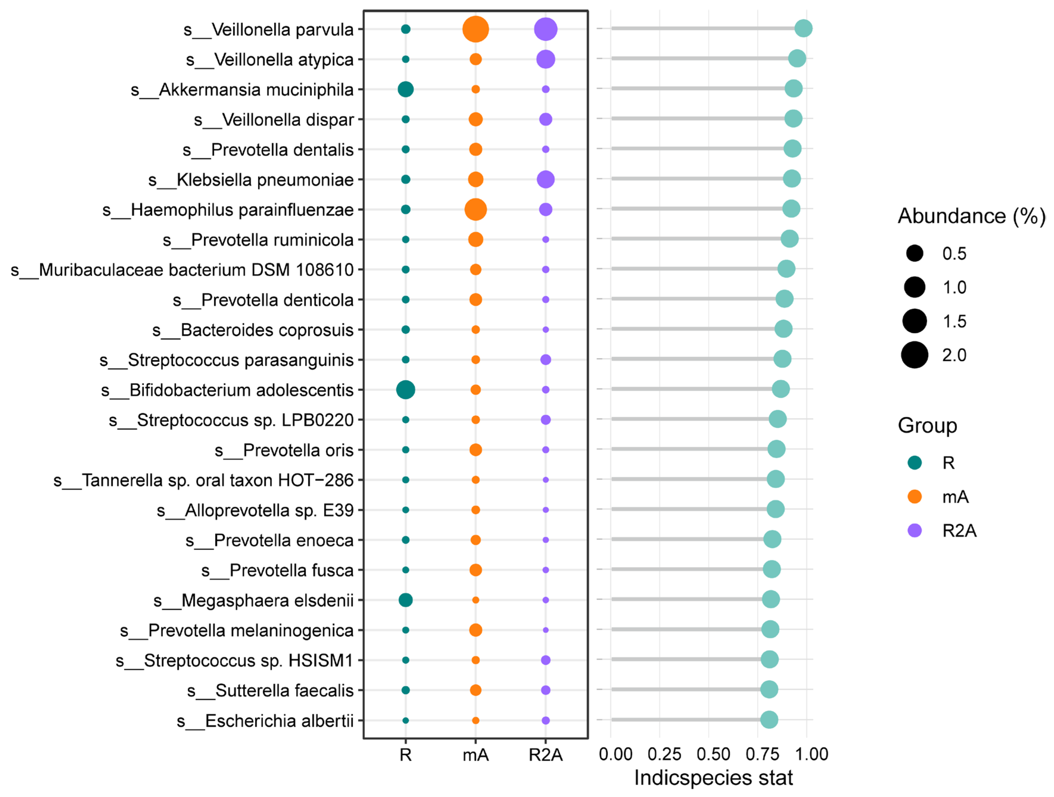 Biomedicines 13 00708 g005