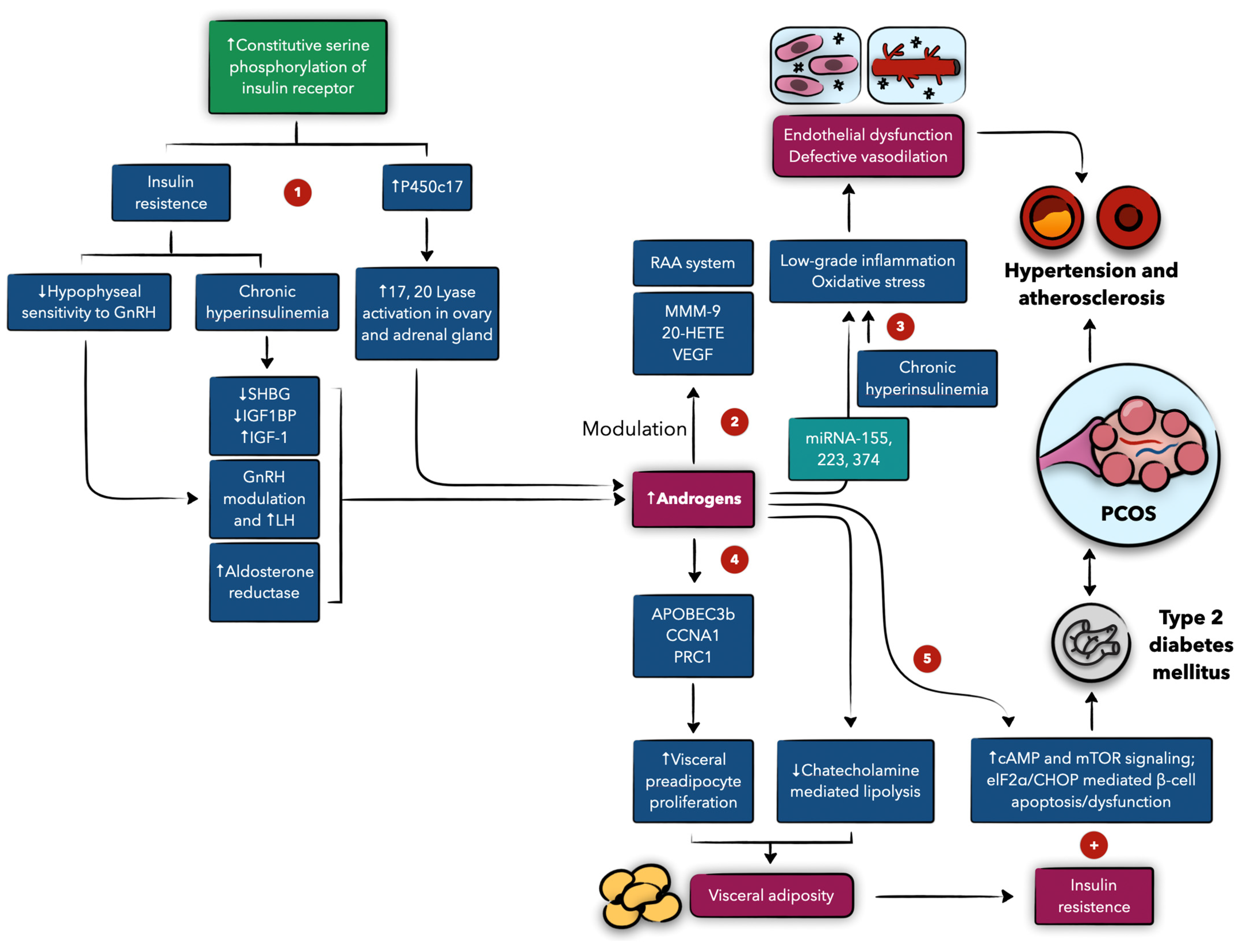 Biomedicines 13 00709 g002