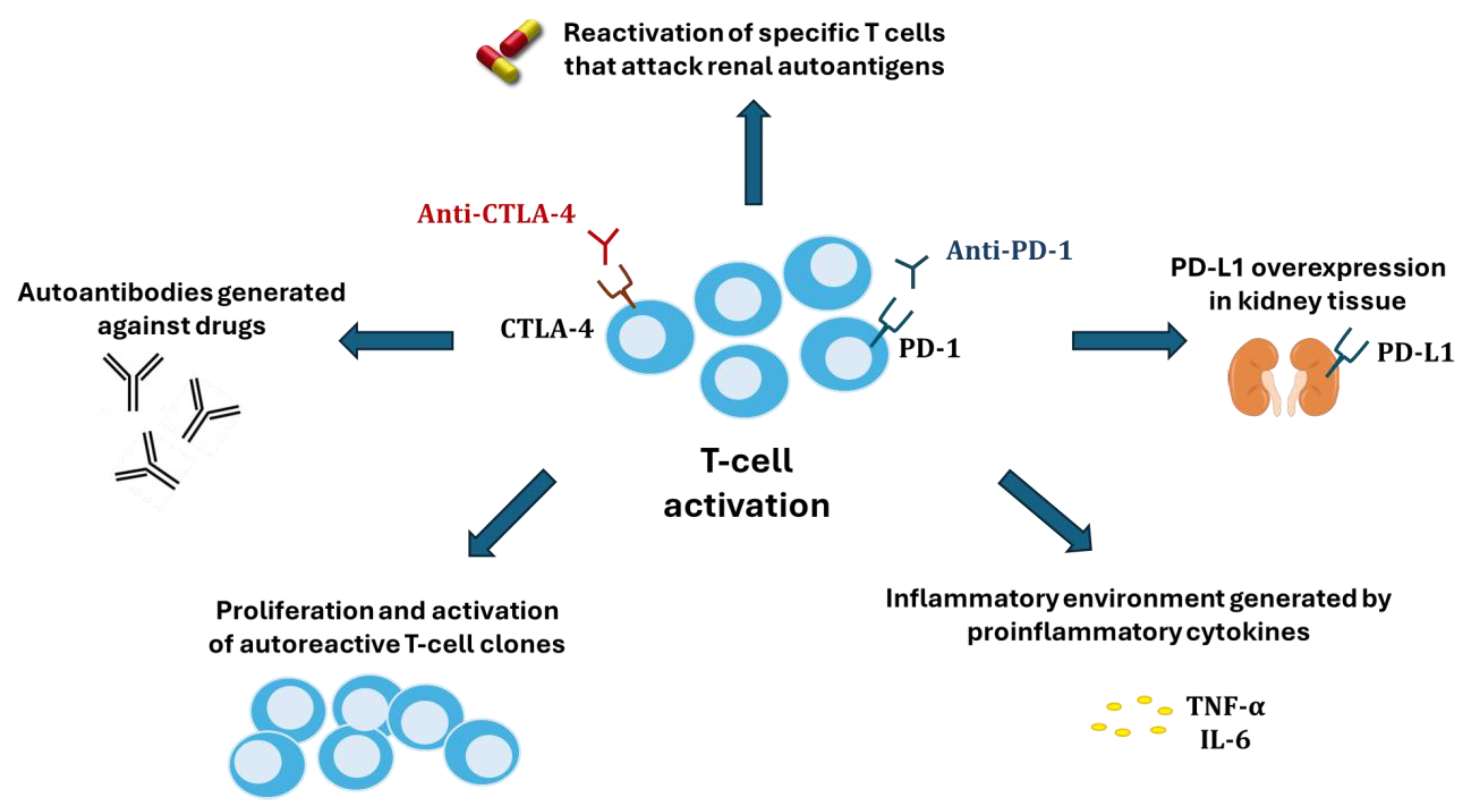 Biomedicines 13 00711 g003