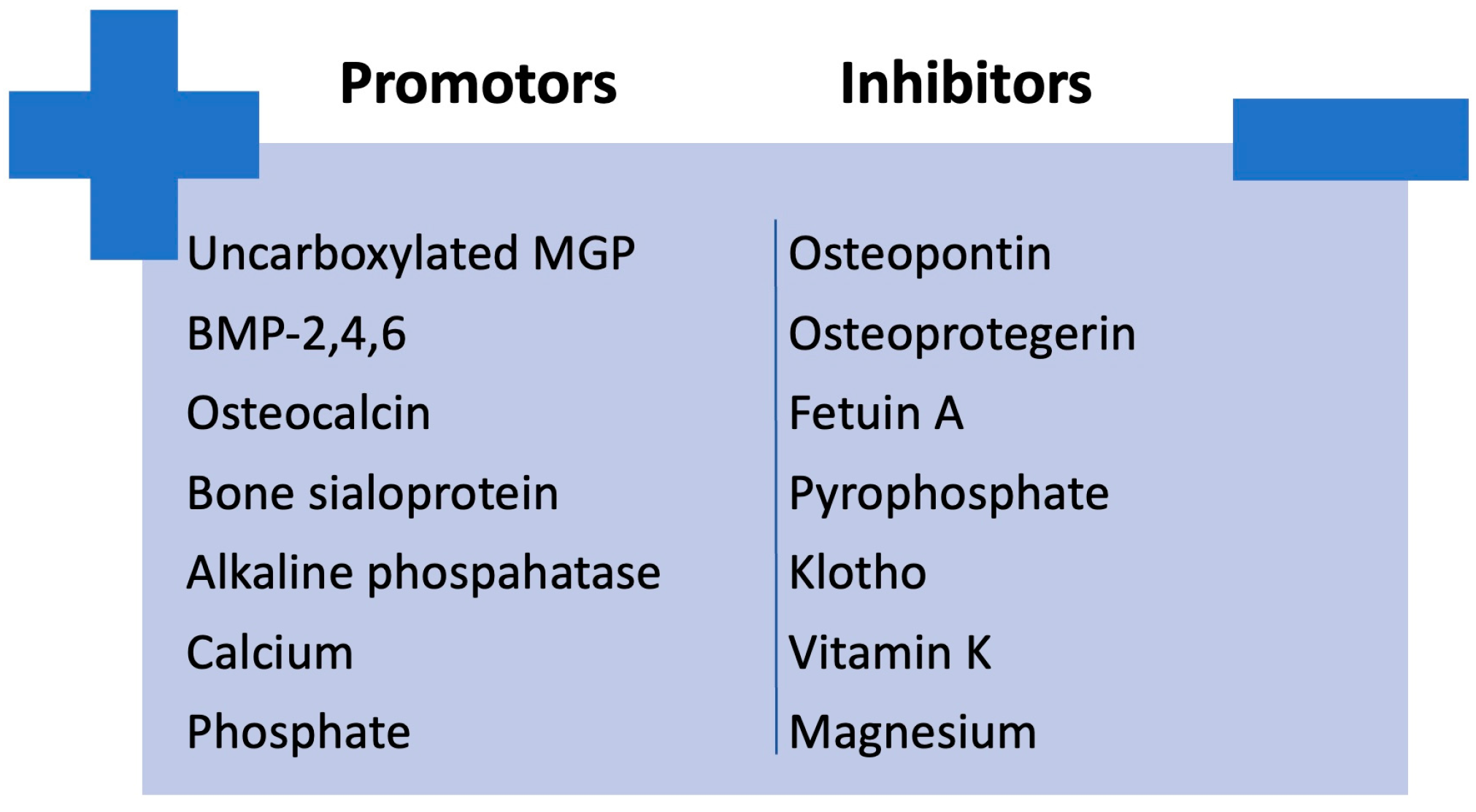 Biomedicines 13 00715 g004