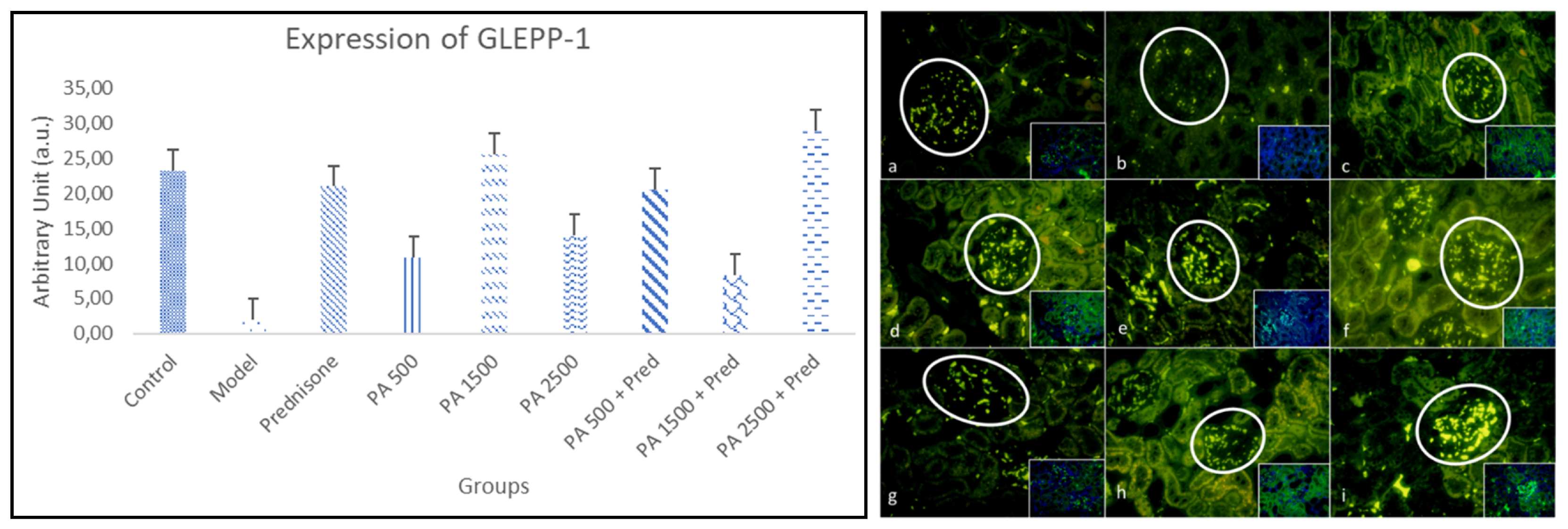Biomedicines 13 00719 g006