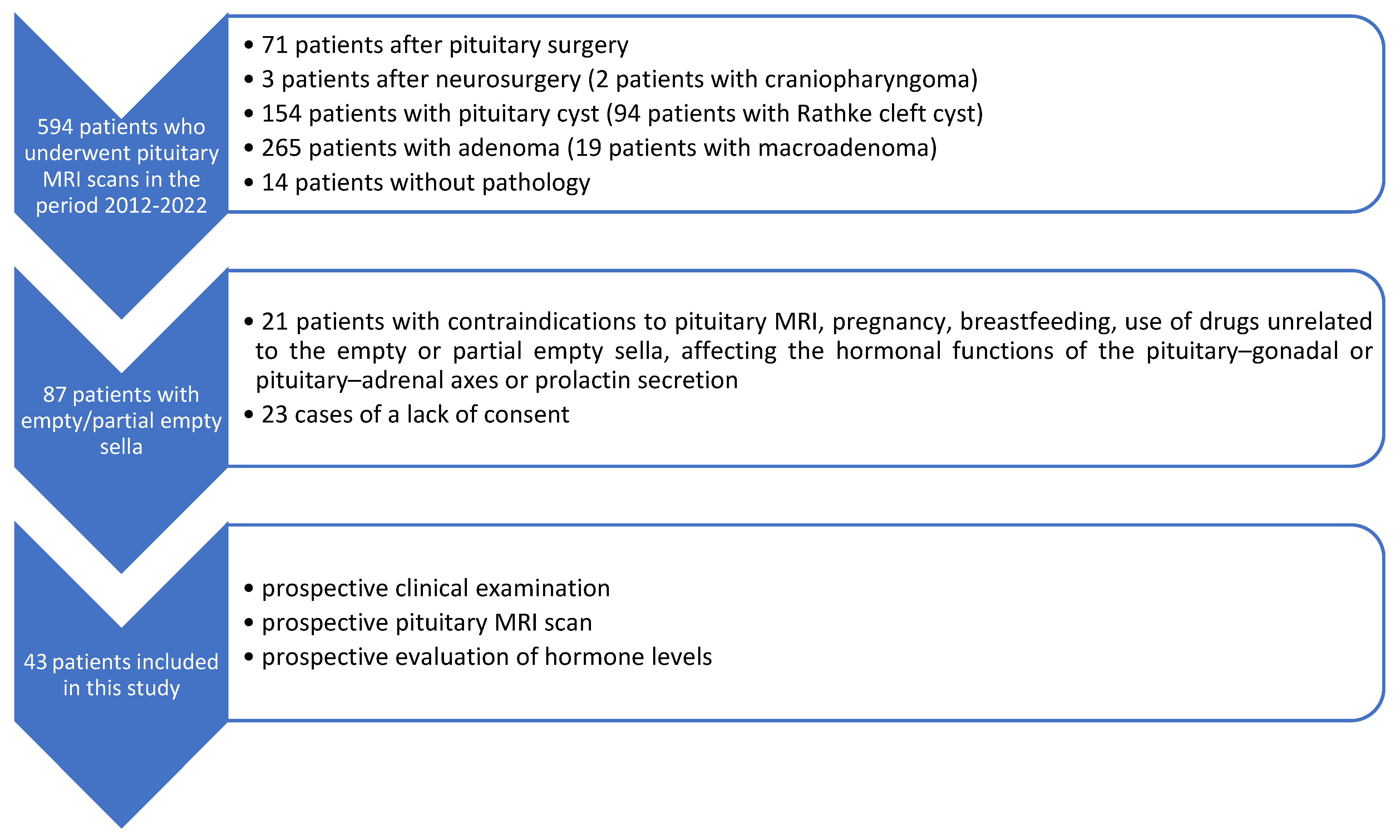 Biomedicines 13 00722 g001