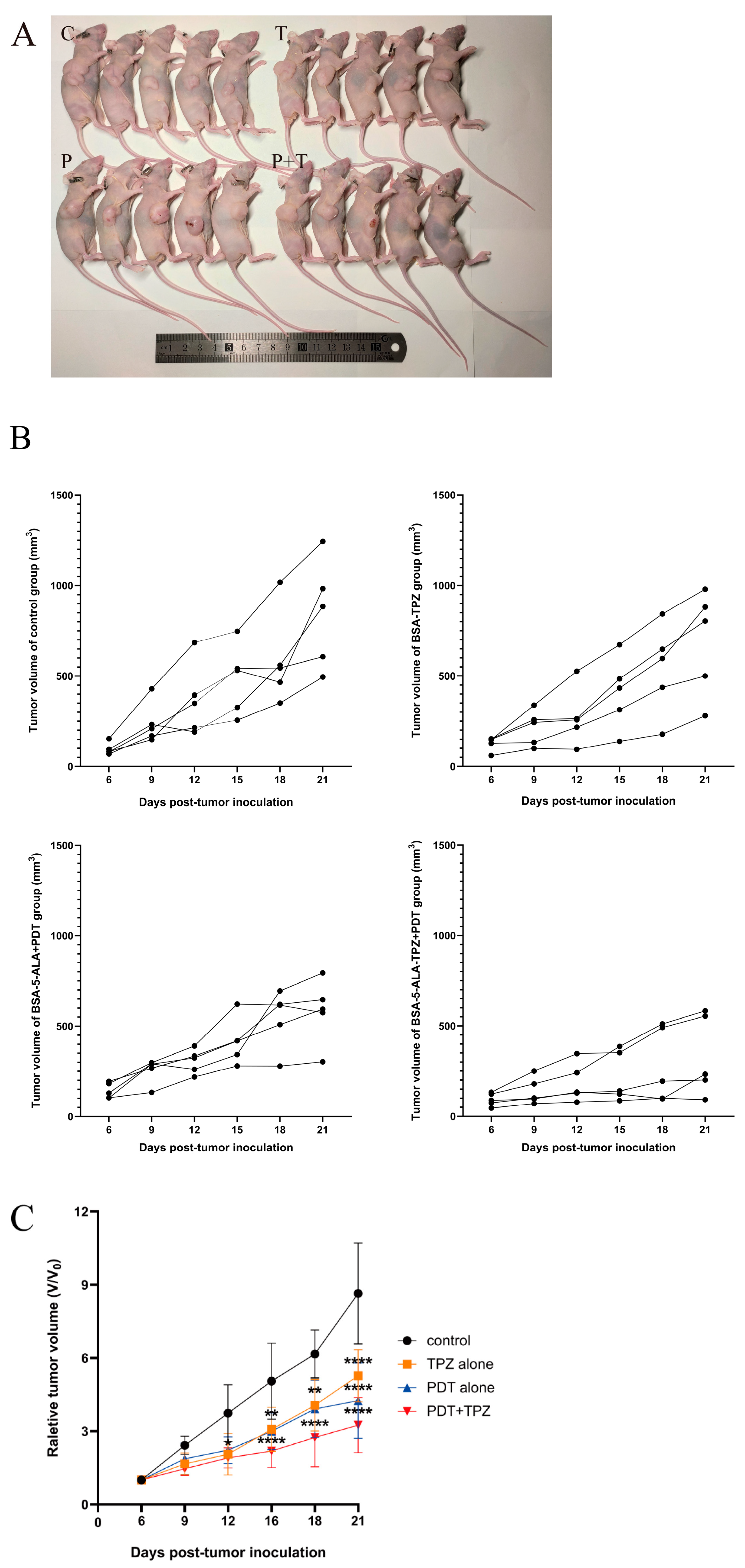 Biomedicines 13 00724 g002