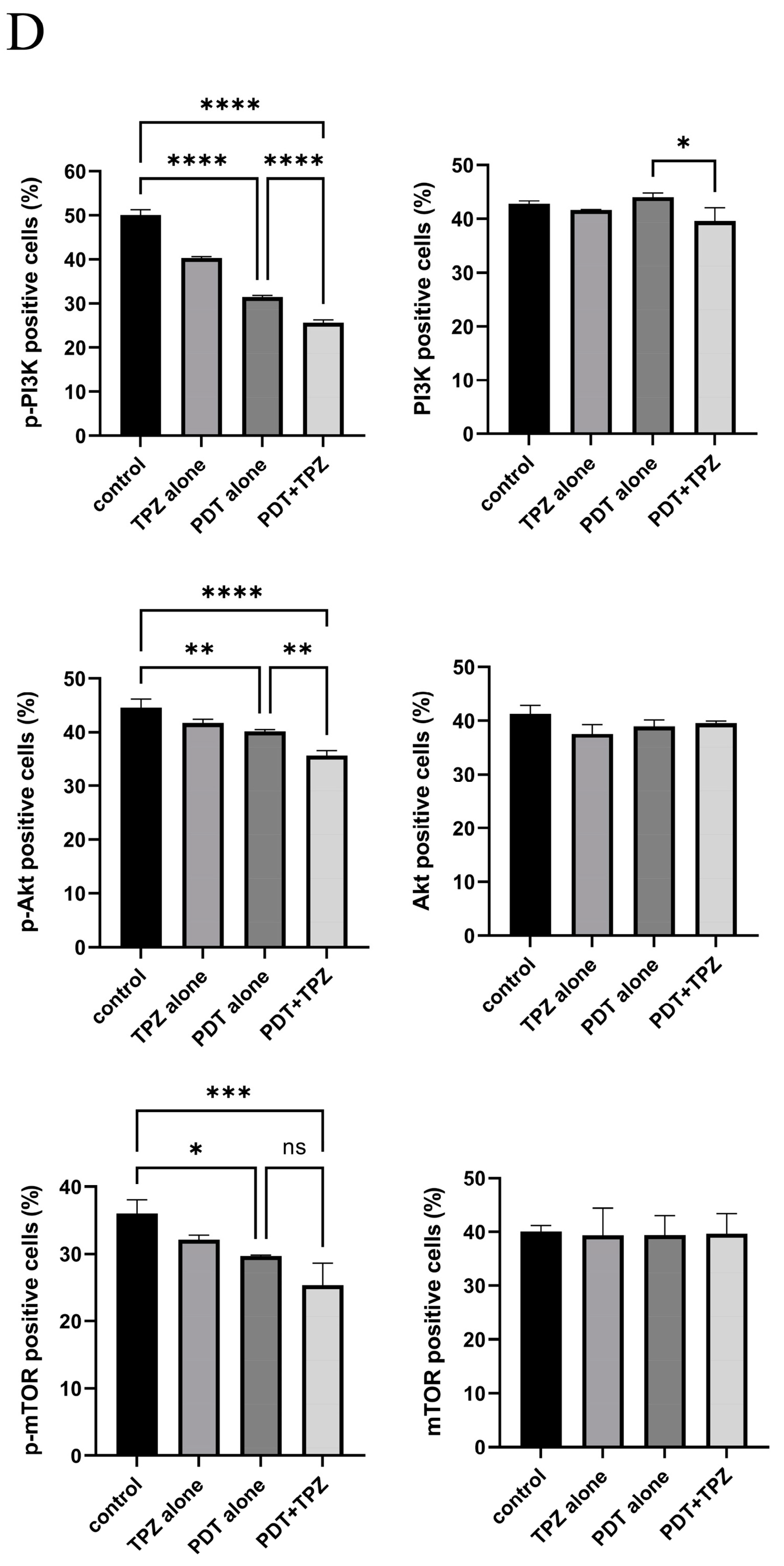 Biomedicines 13 00724 g006b