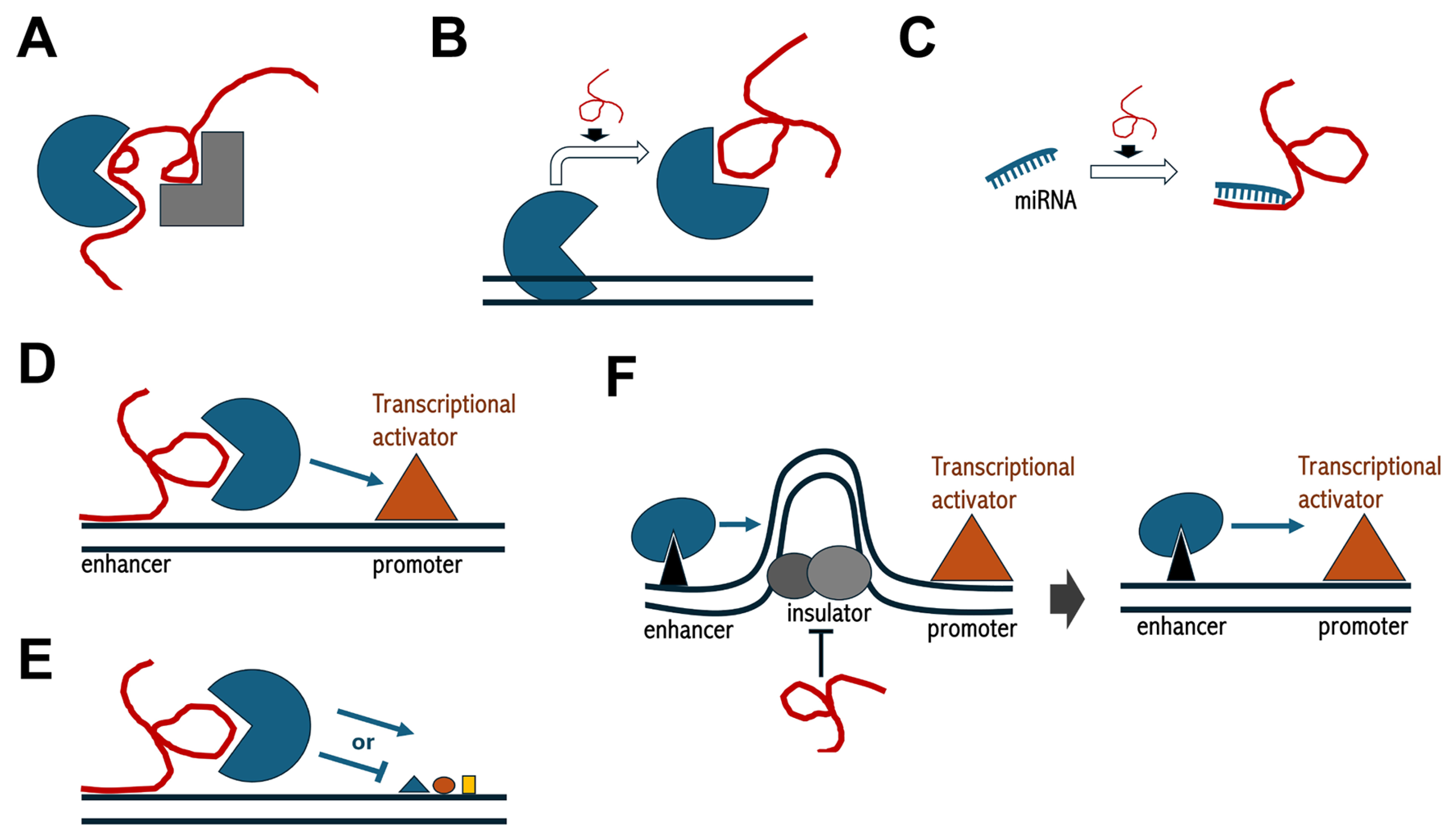 Biomedicines 13 00725 g002