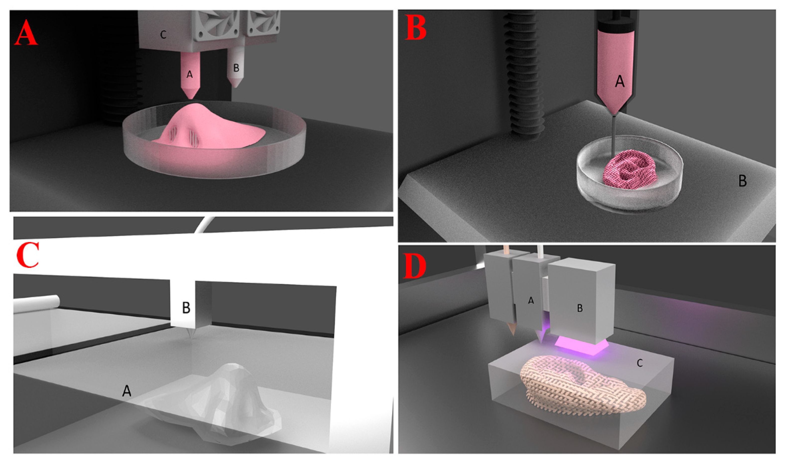 Biomedicines 13 00731 g001